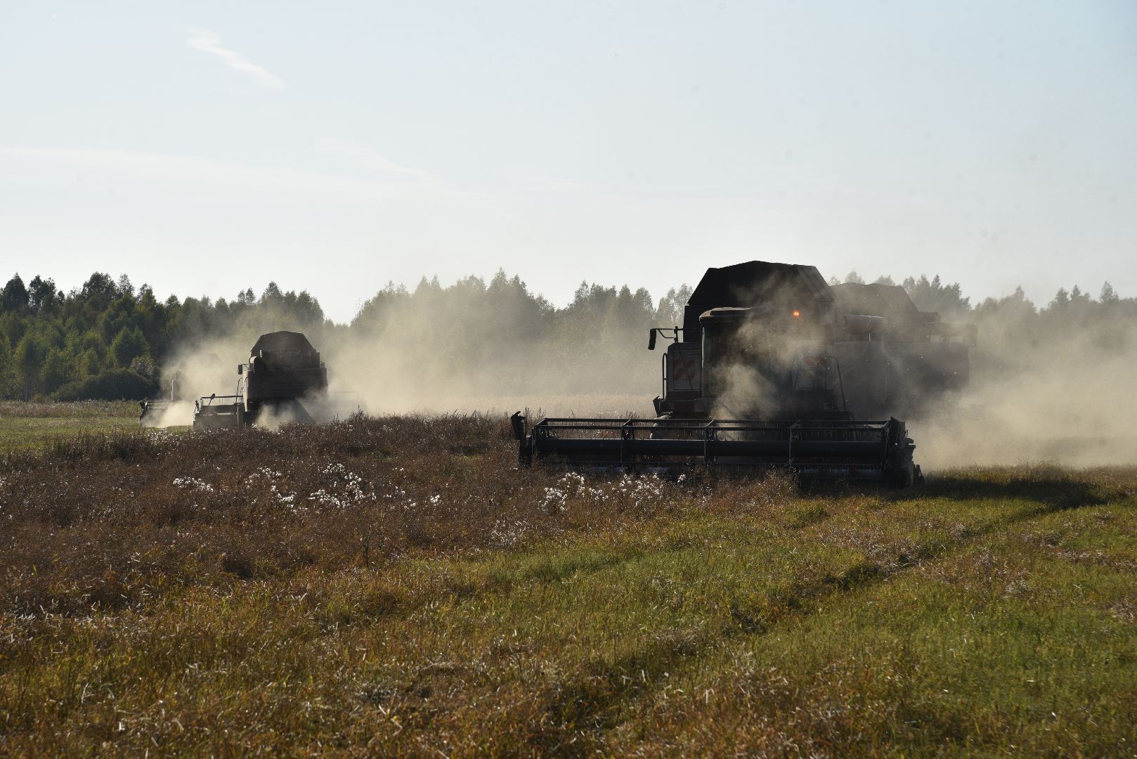 лотошино, сельское хозяйство, урожай, уборка урожая,