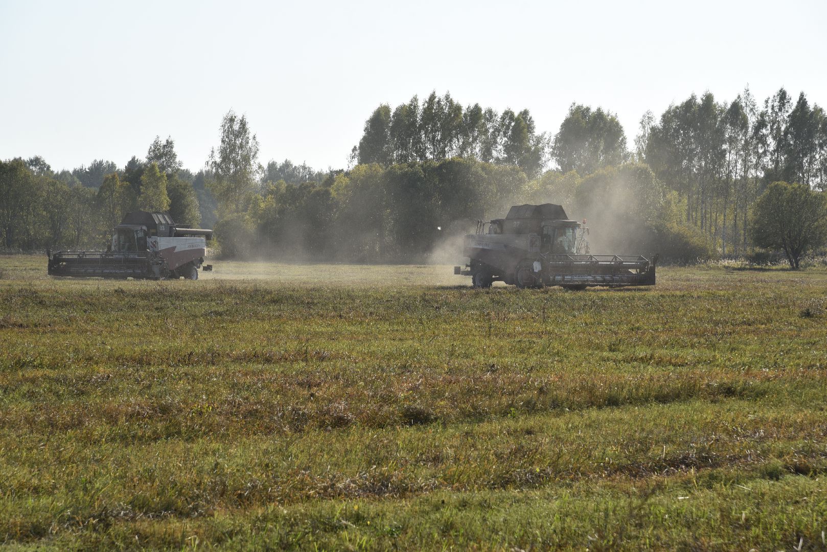 лотошино, сельское хозяйство, урожай, уборка урожая,