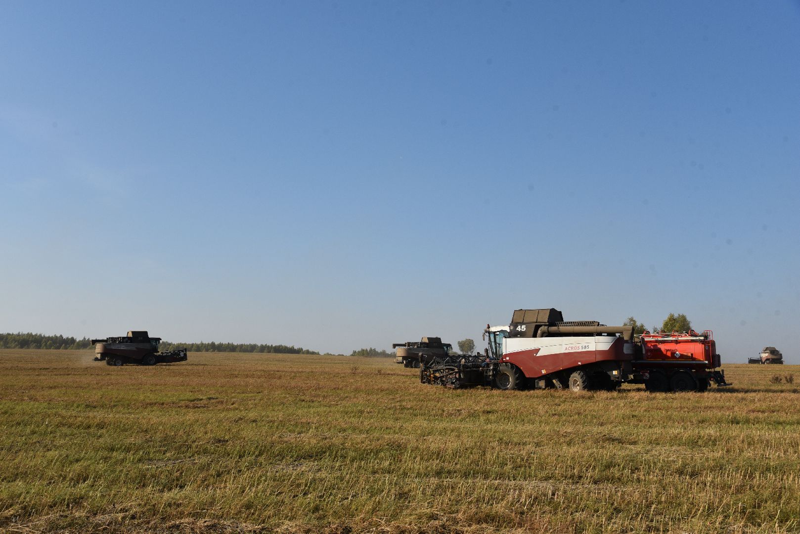 лотошино, сельское хозяйство, урожай, уборка урожая,