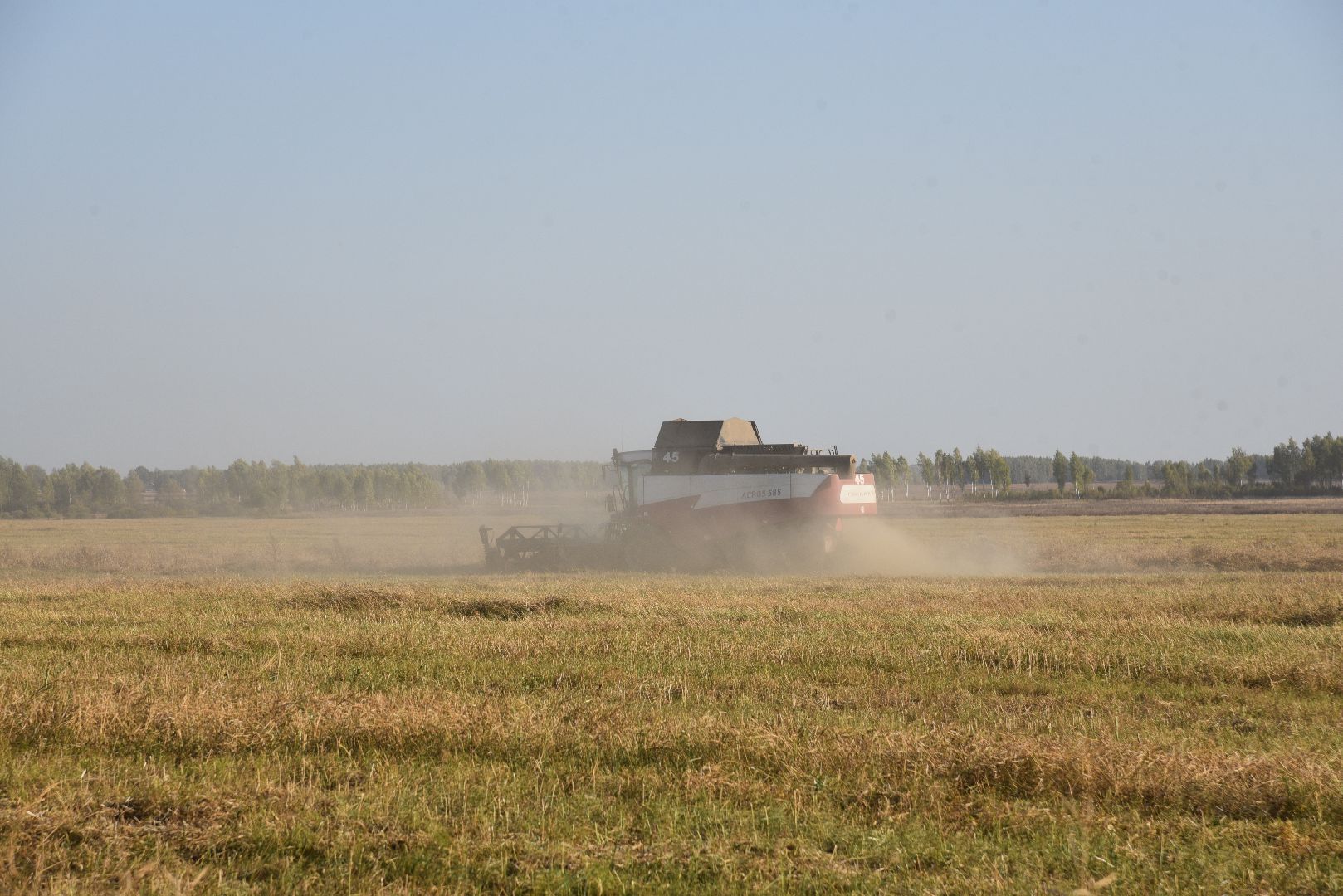 лотошино, сельское хозяйство, урожай, уборка урожая,