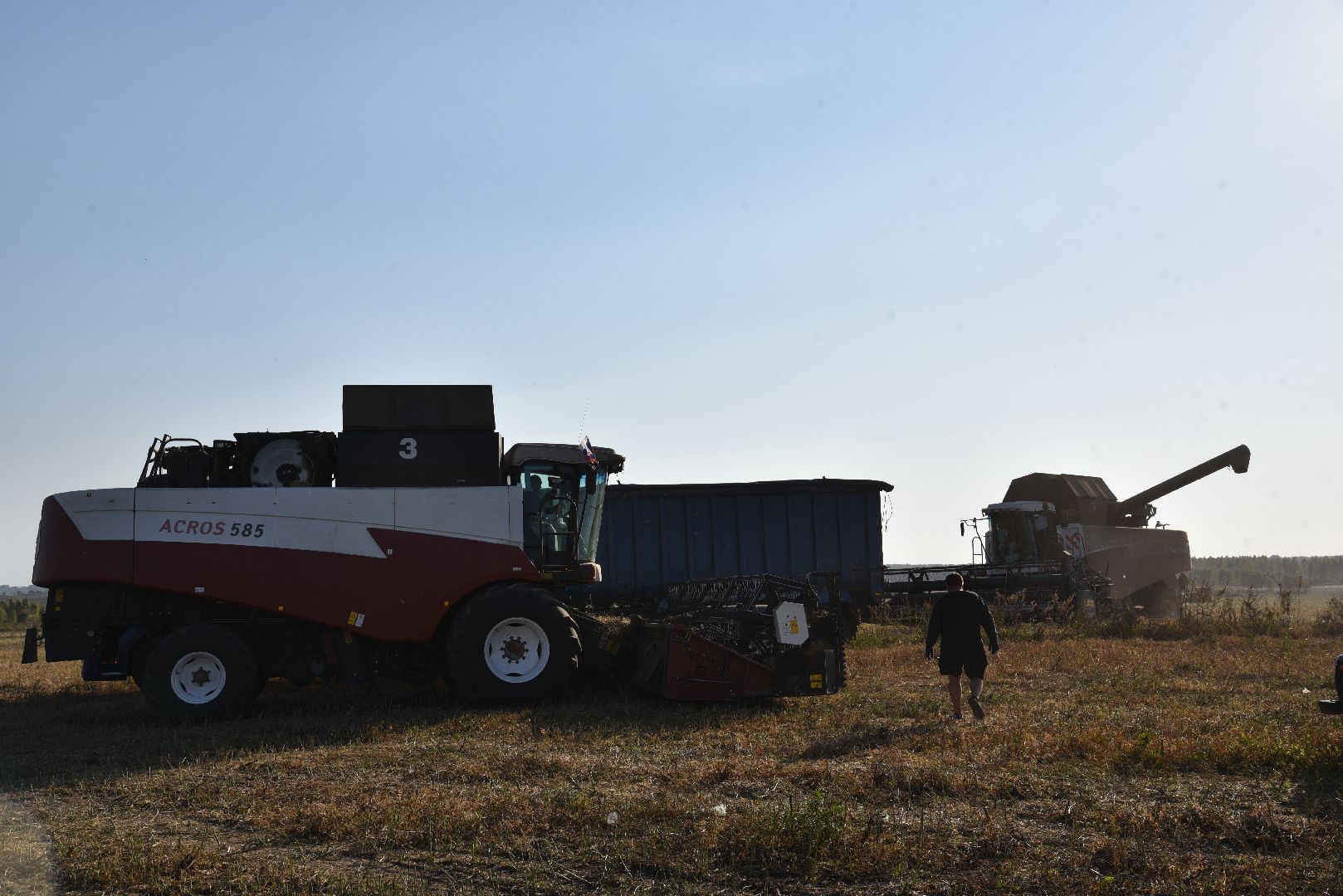 лотошино, сельское хозяйство, урожай, уборка урожая,