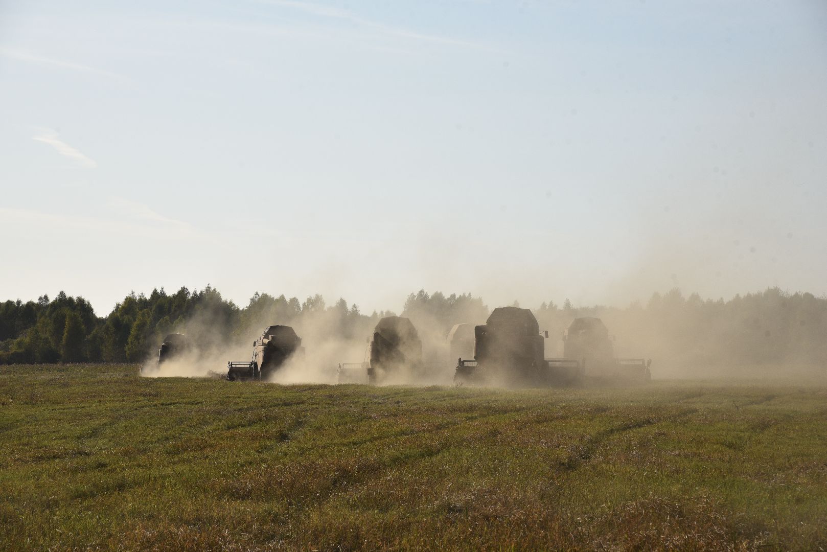 лотошино, сельское хозяйство, урожай, уборка урожая,