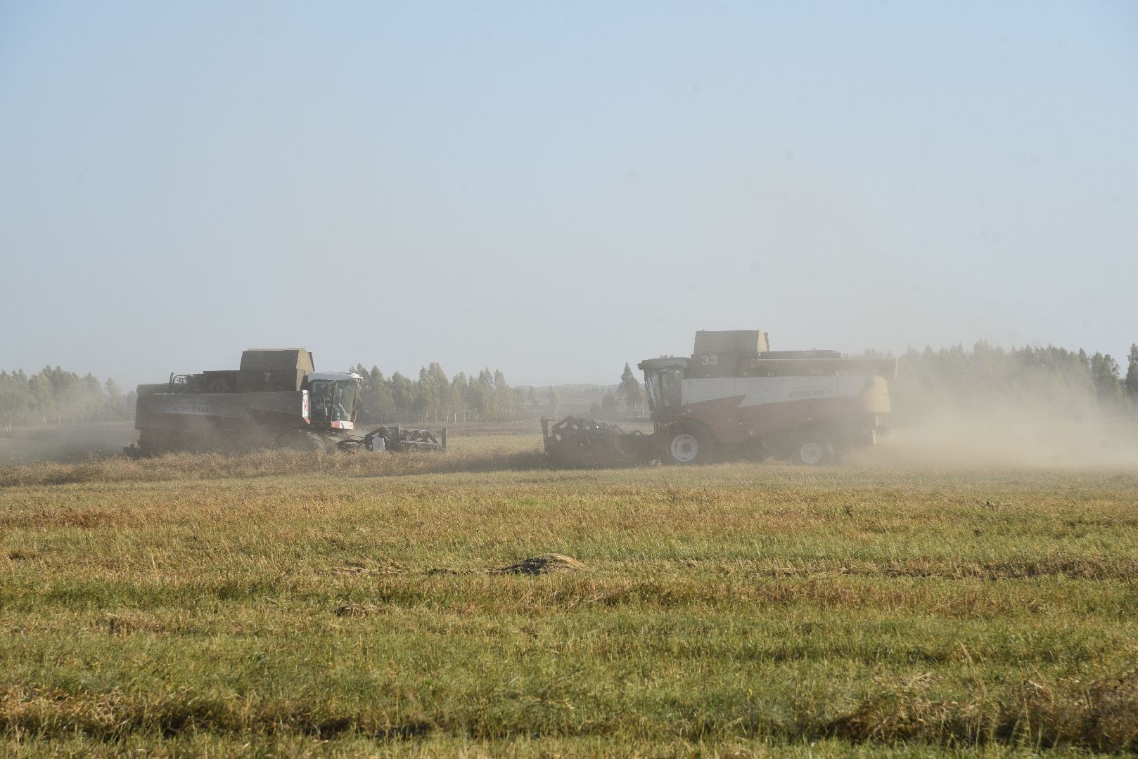 лотошино, сельское хозяйство, урожай, уборка урожая,