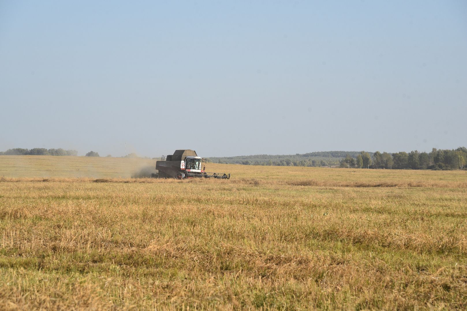 лотошино, сельское хозяйство, урожай, уборка урожая,