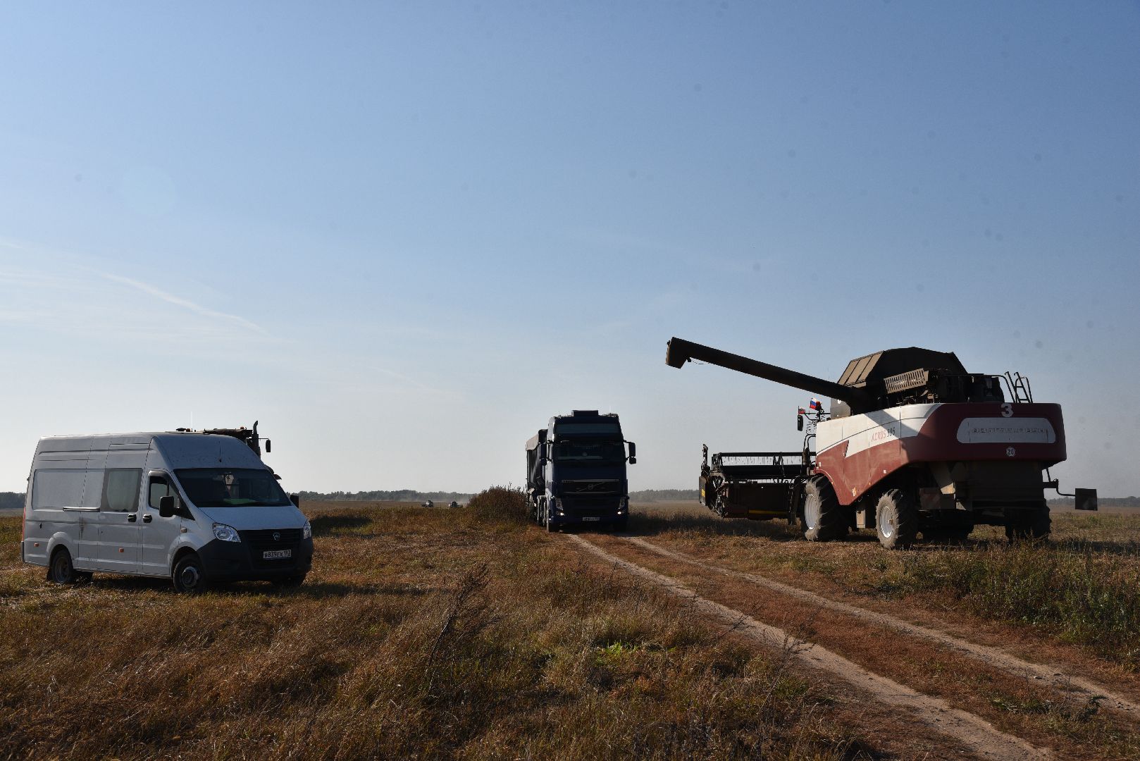 лотошино, сельское хозяйство, урожай, уборка урожая,