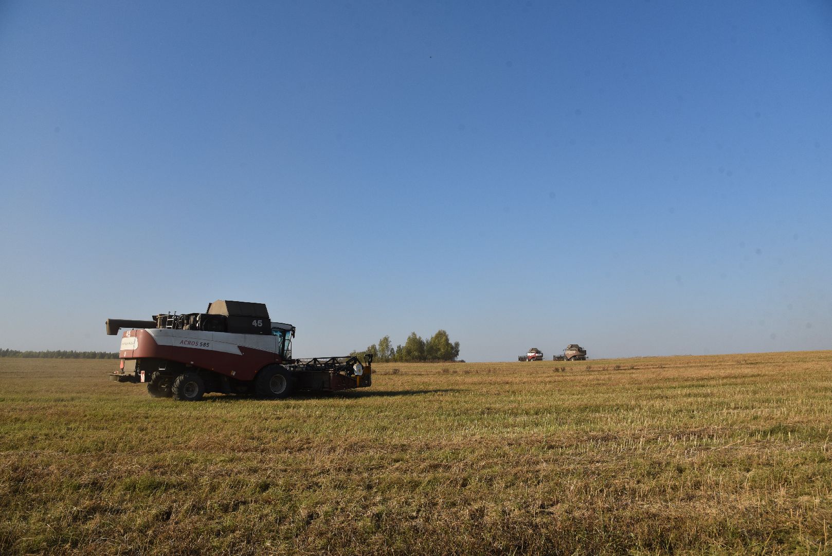 лотошино, сельское хозяйство, урожай, уборка урожая,
