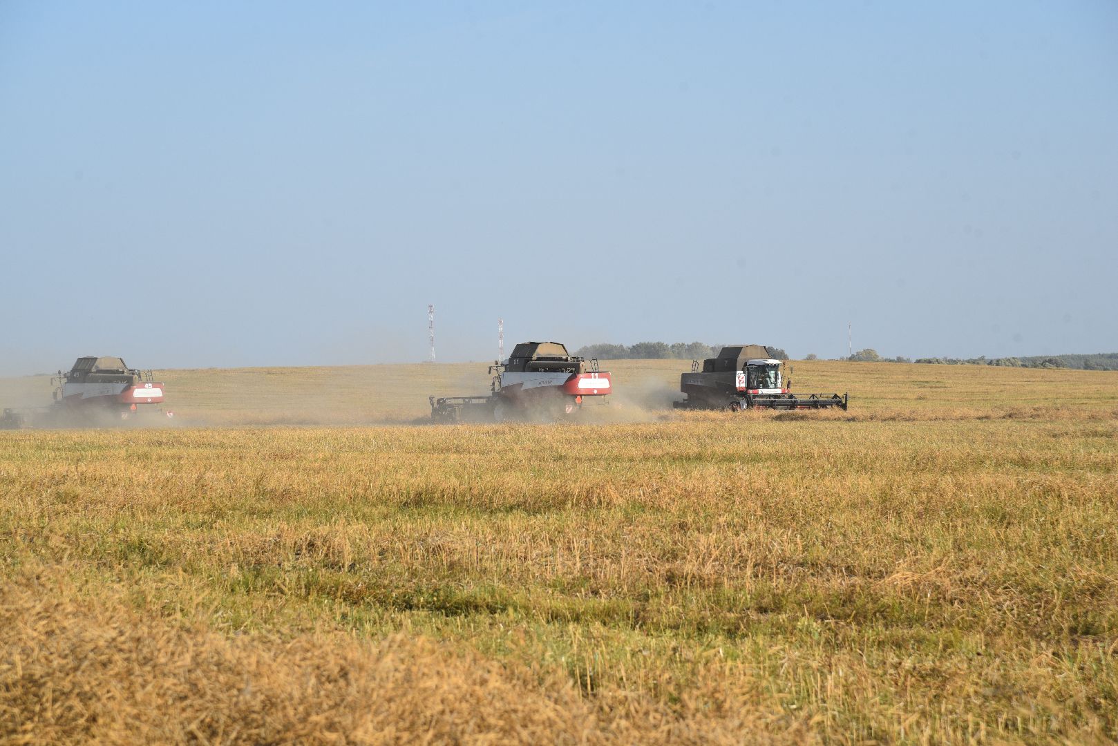 лотошино, сельское хозяйство, урожай, уборка урожая,