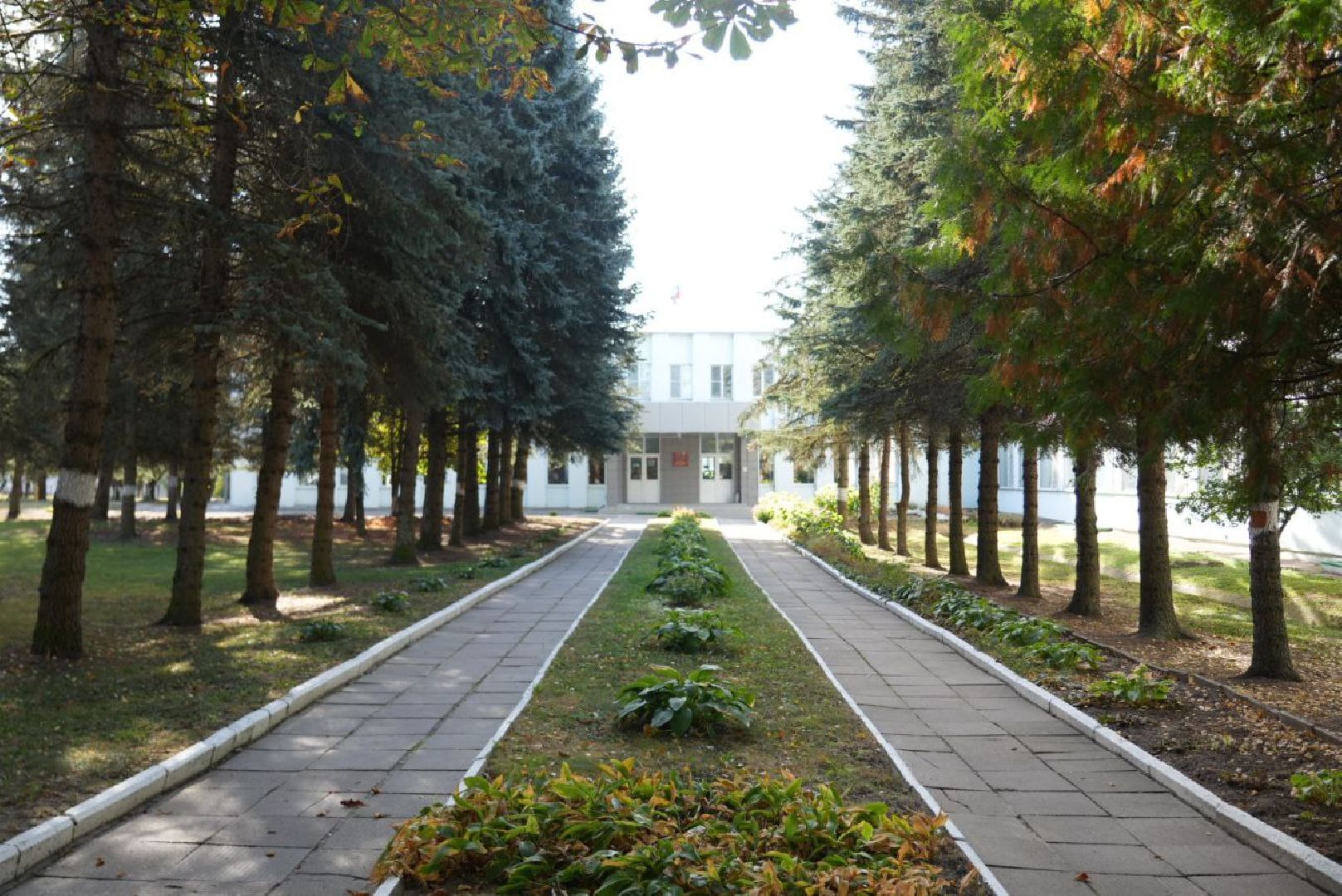 Сельское хозяйство, Птицеводство, Сергиев Посад, ВНИТИП,