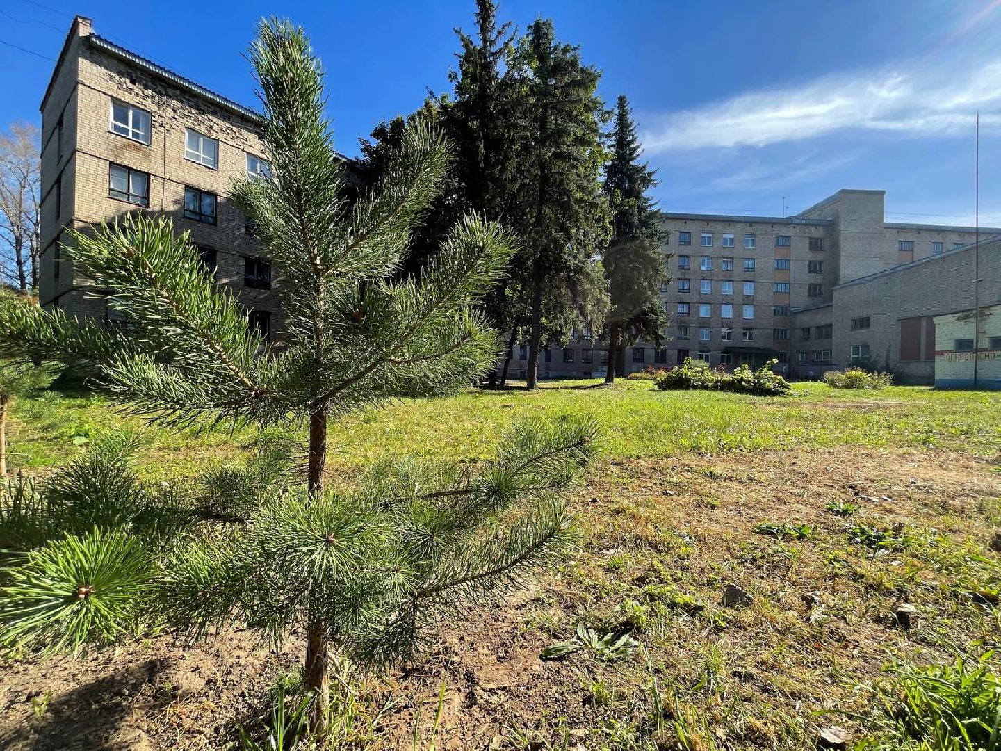 Дмитров, Дмитровский техникум, СВО,