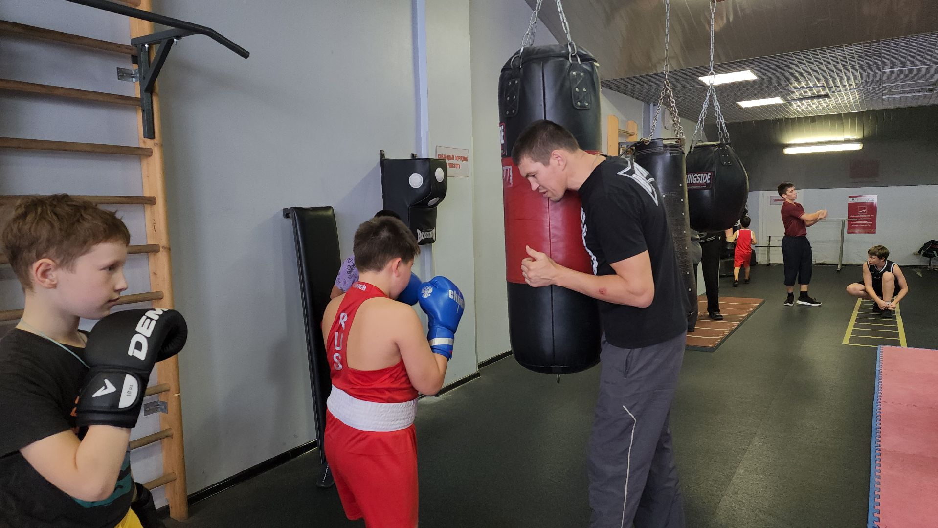 бокс, спорт, химки,