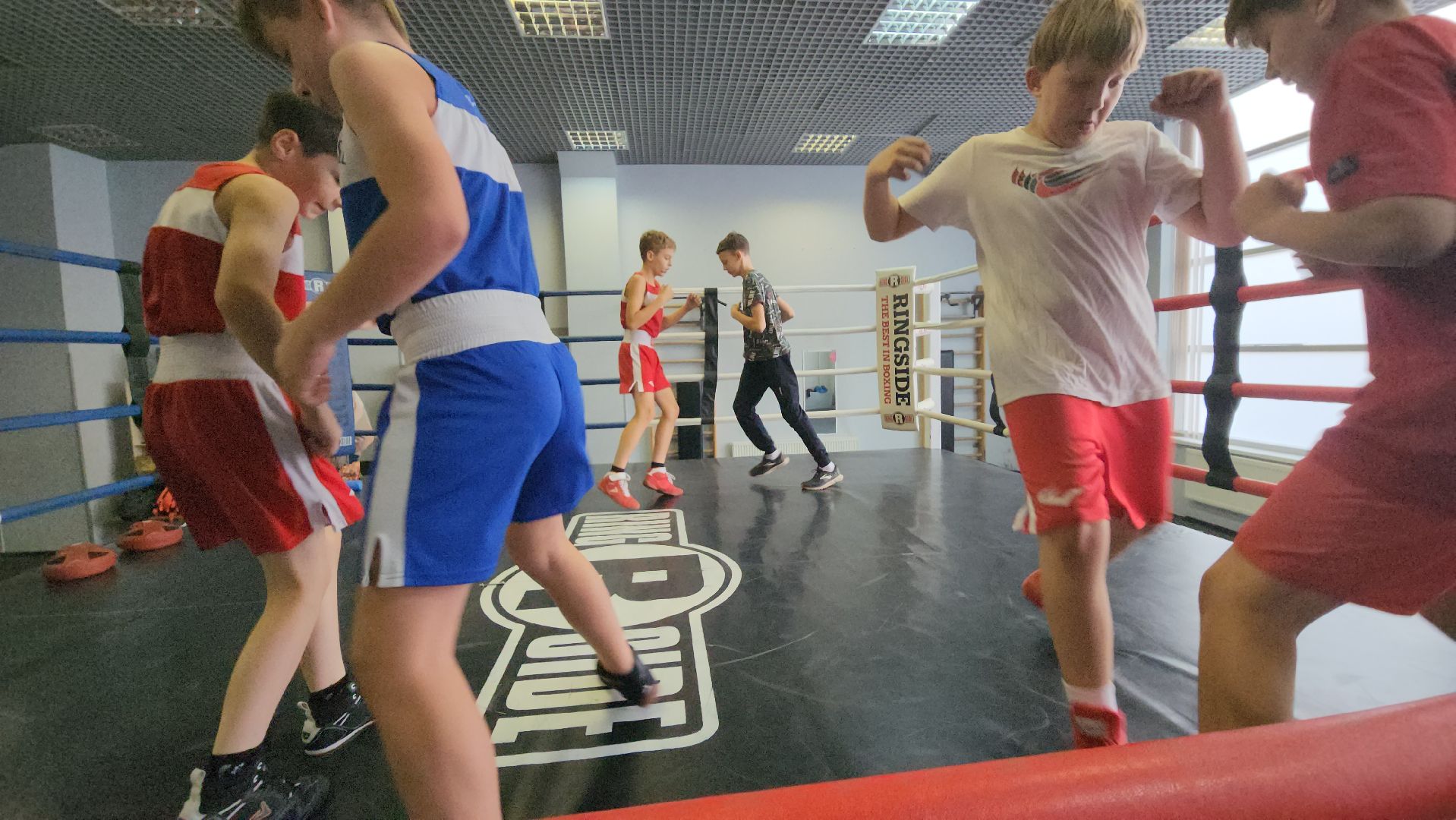 бокс, спорт, химки,