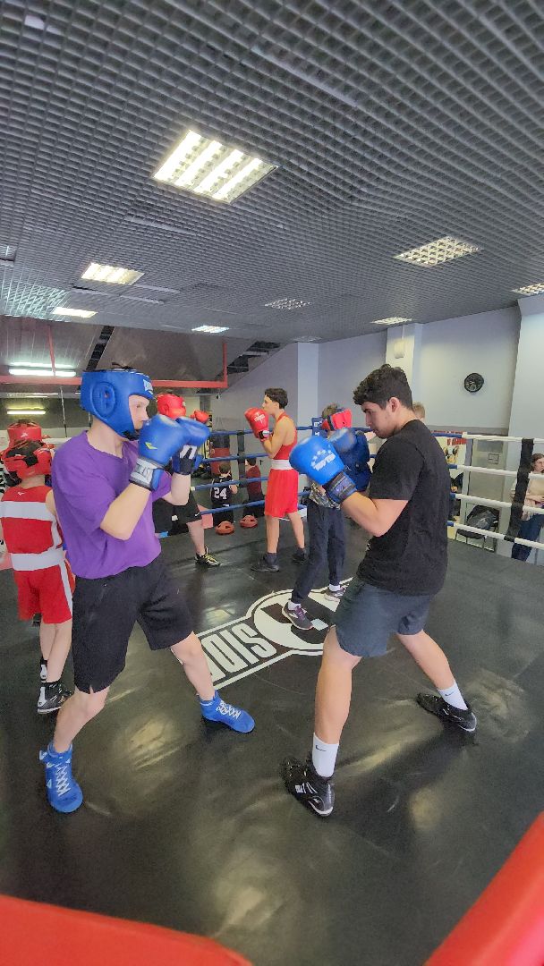 бокс, спорт, химки,