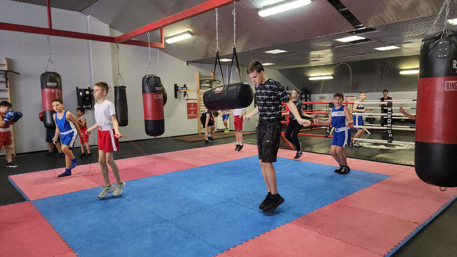 бокс, спорт, химки,