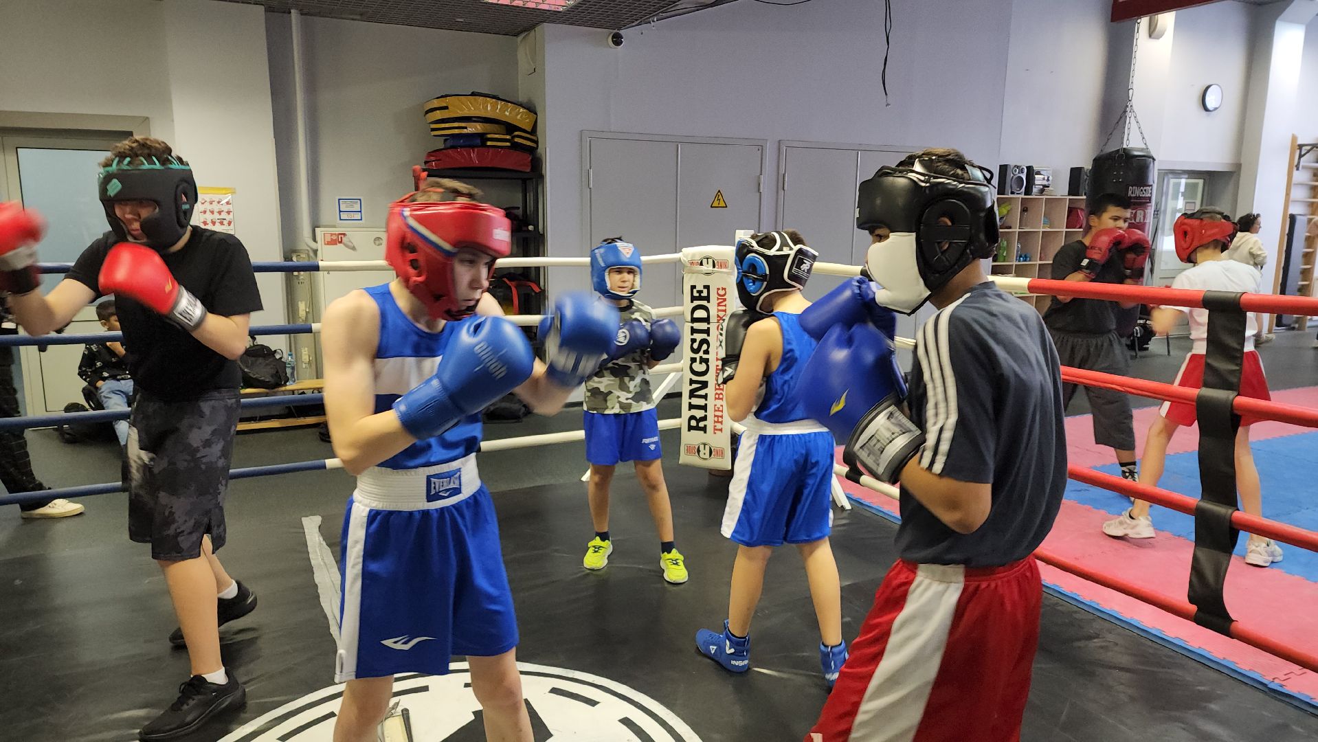 бокс, спорт, химки,