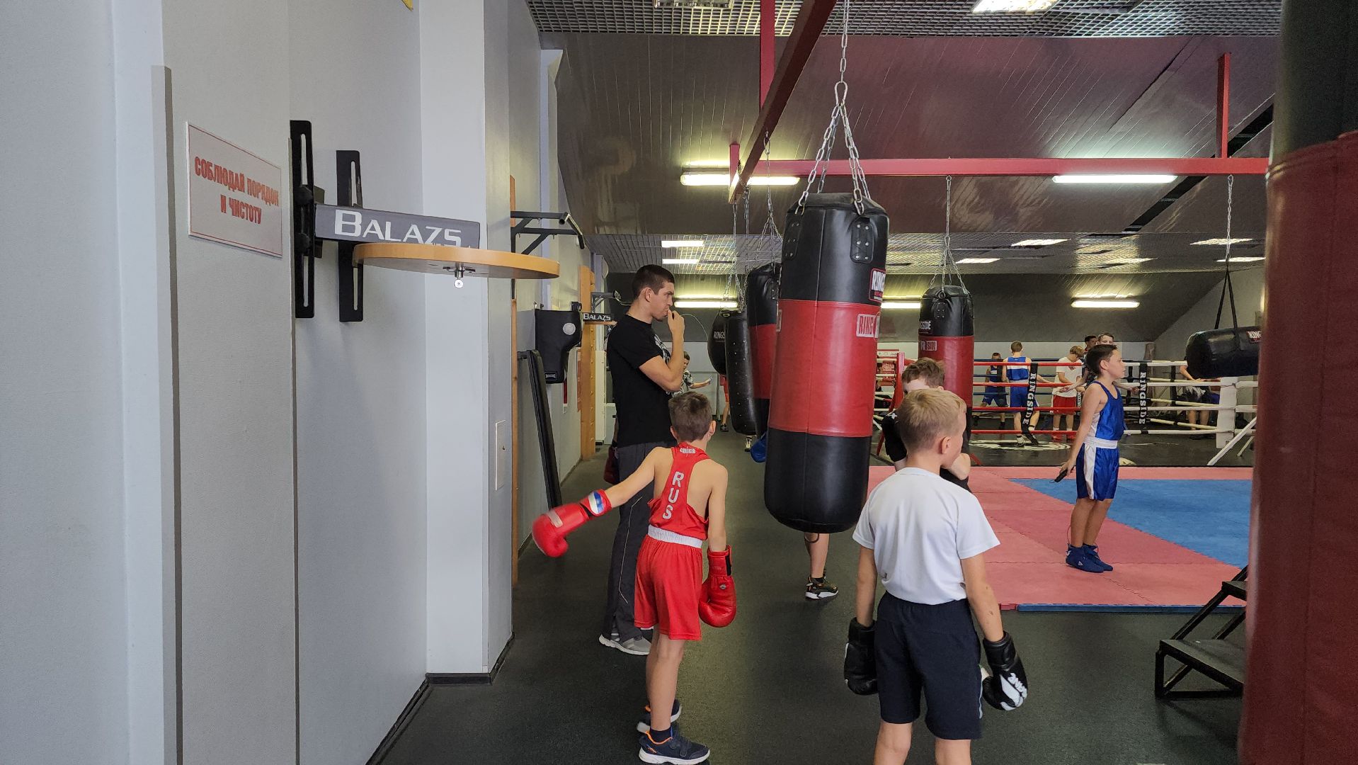 бокс, спорт, химки,