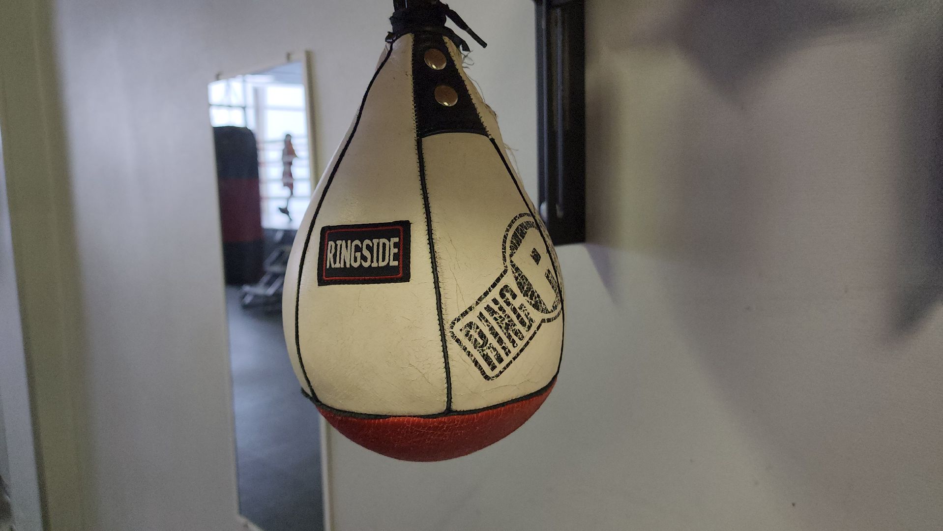 бокс, спорт, химки,