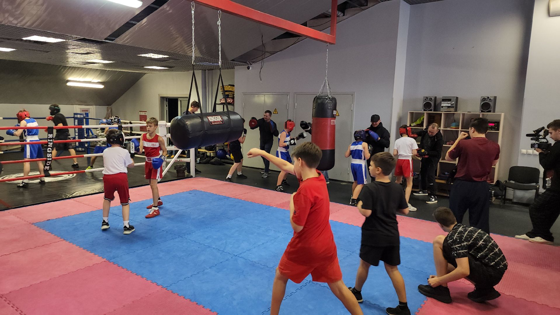 бокс, спорт, химки,