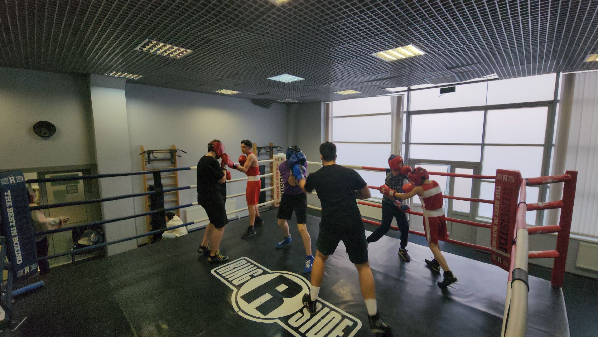 бокс, спорт, химки,