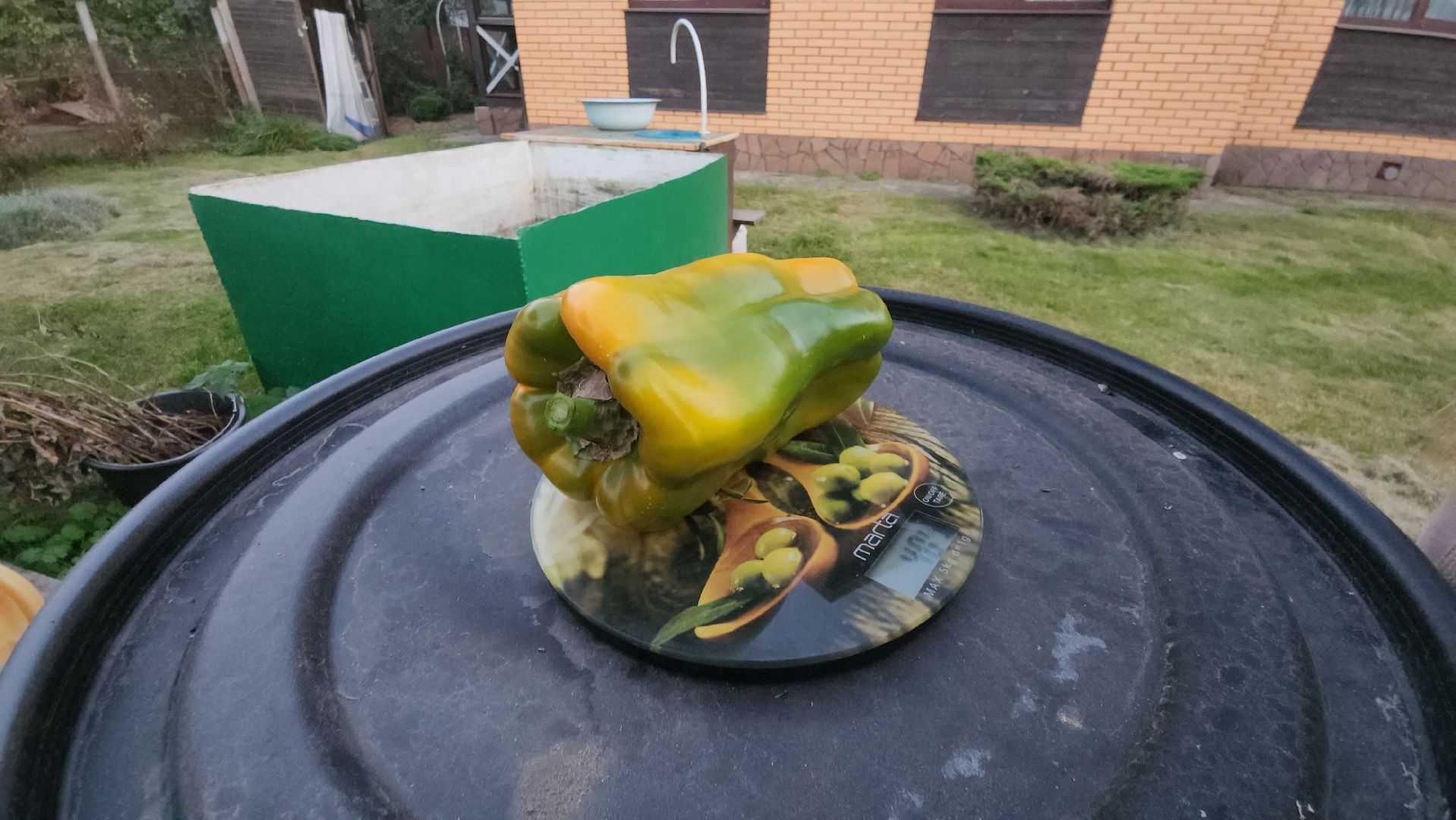 Павловский Посад, Городской округ Павловский Посад, Овощи, Перец, Рекорд, Жители,