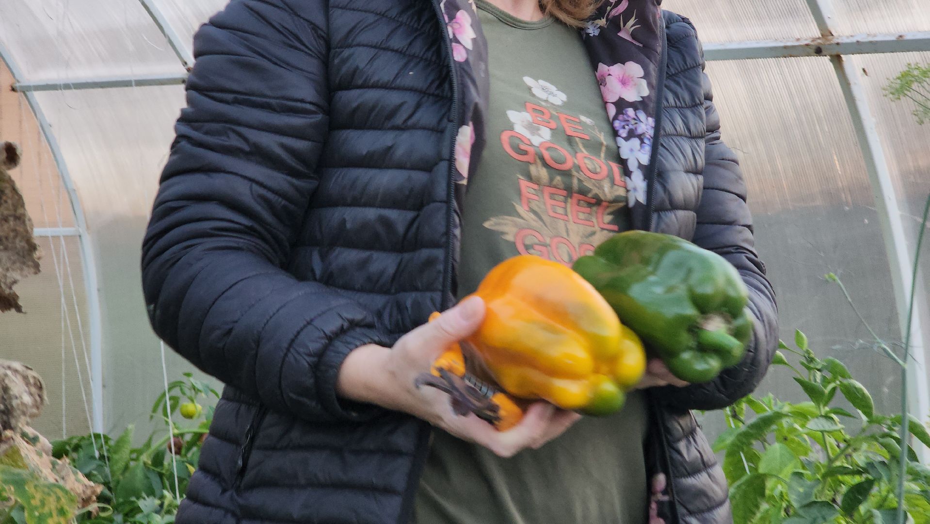 Павловский Посад, Городской округ Павловский Посад, Овощи, Перец, Рекорд, Жители,