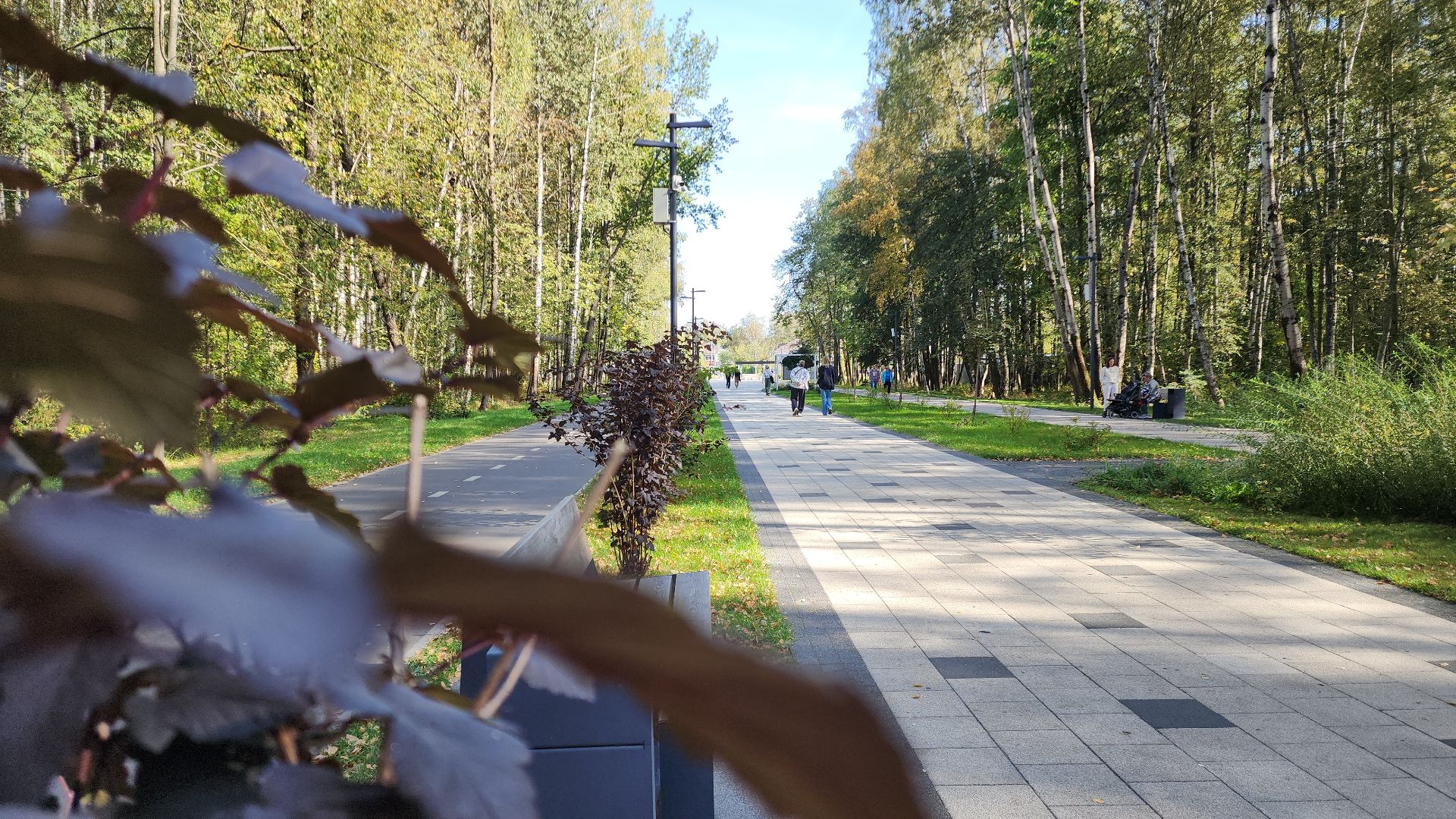 парк авангард, парки подмосковья, лето в подмосковье, электросталь, прокат лодок, жители города, летний сезон,