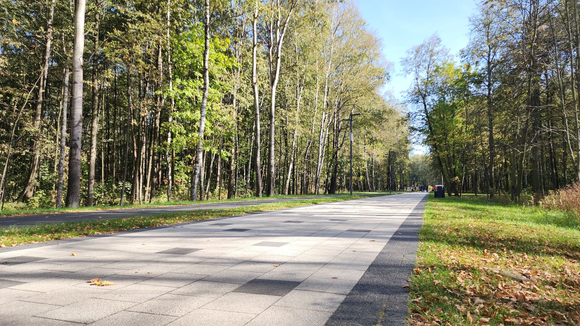 парк авангард, парки подмосковья, лето в подмосковье, электросталь, прокат лодок, жители города, летний сезон,