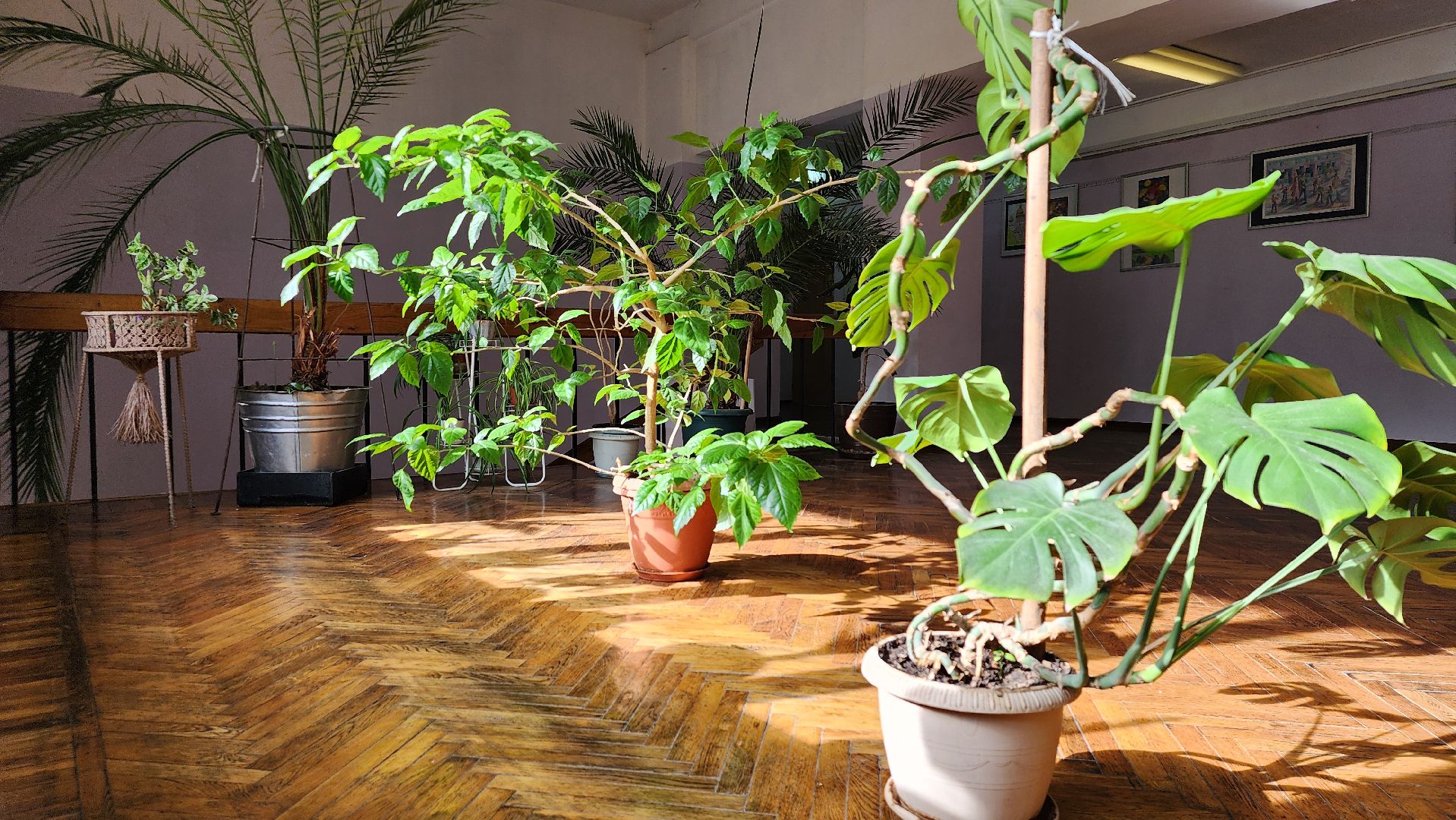 творческий сезон, центр культуры, творчество, Старая Купавна, Богородский городской округ,