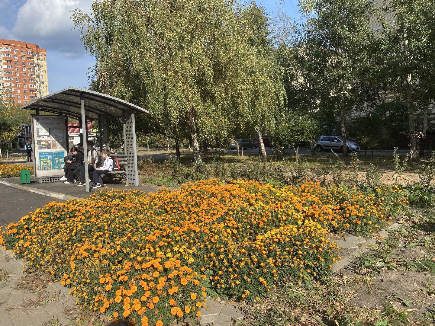 благоустройство территории, власиха Тополек, власиха Школьный, обход территории, обращения жителей,