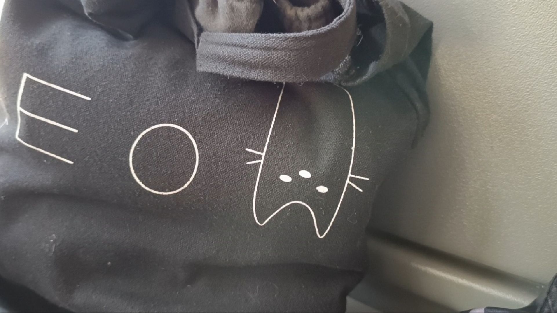 авиатика, лобня, транспорт, забытые вещи,