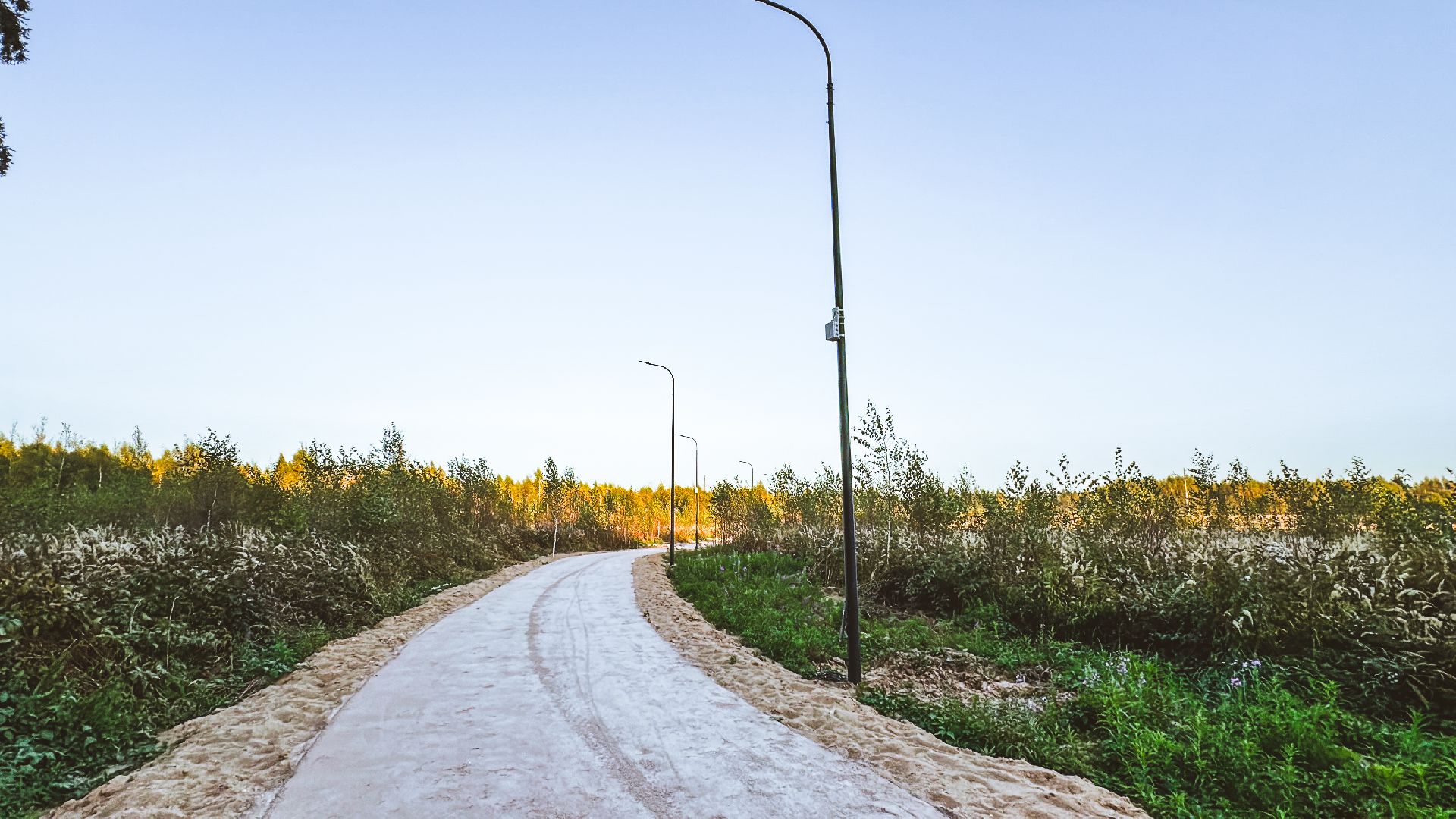 Клин, общество, Подмосковье, благоустройство, лесопарк,