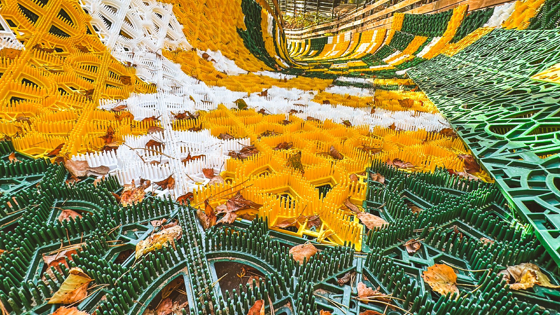 Клин, общество, Подмосковье, благоустройство, лесопарк,