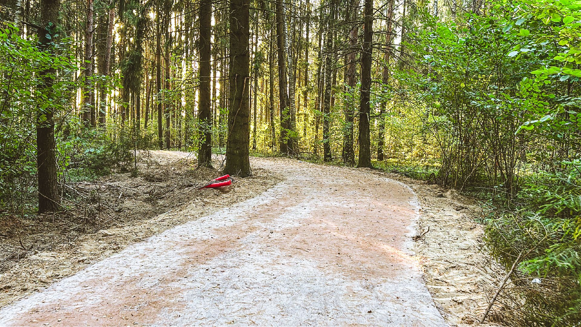 Клин, общество, Подмосковье, благоустройство, лесопарк,
