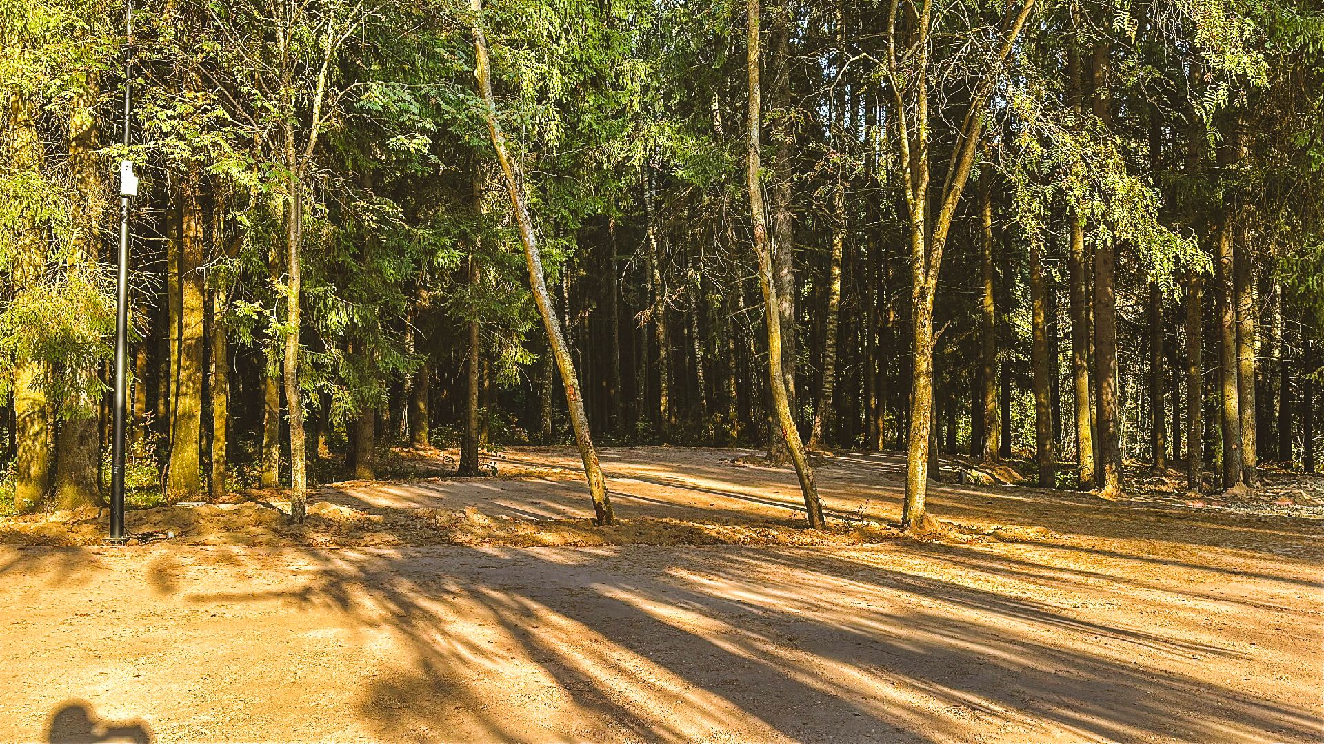 Клин, общество, Подмосковье, благоустройство, лесопарк,