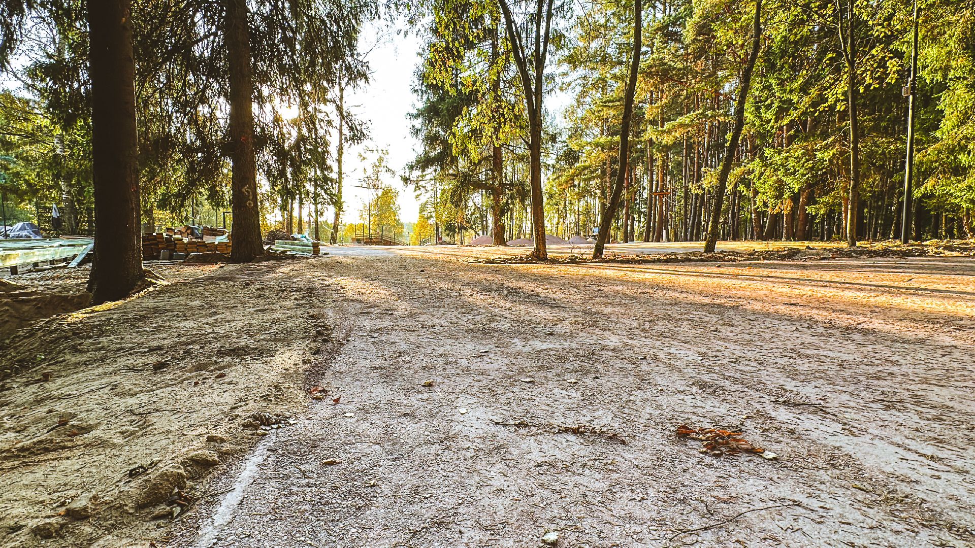 Клин, общество, Подмосковье, благоустройство, лесопарк,