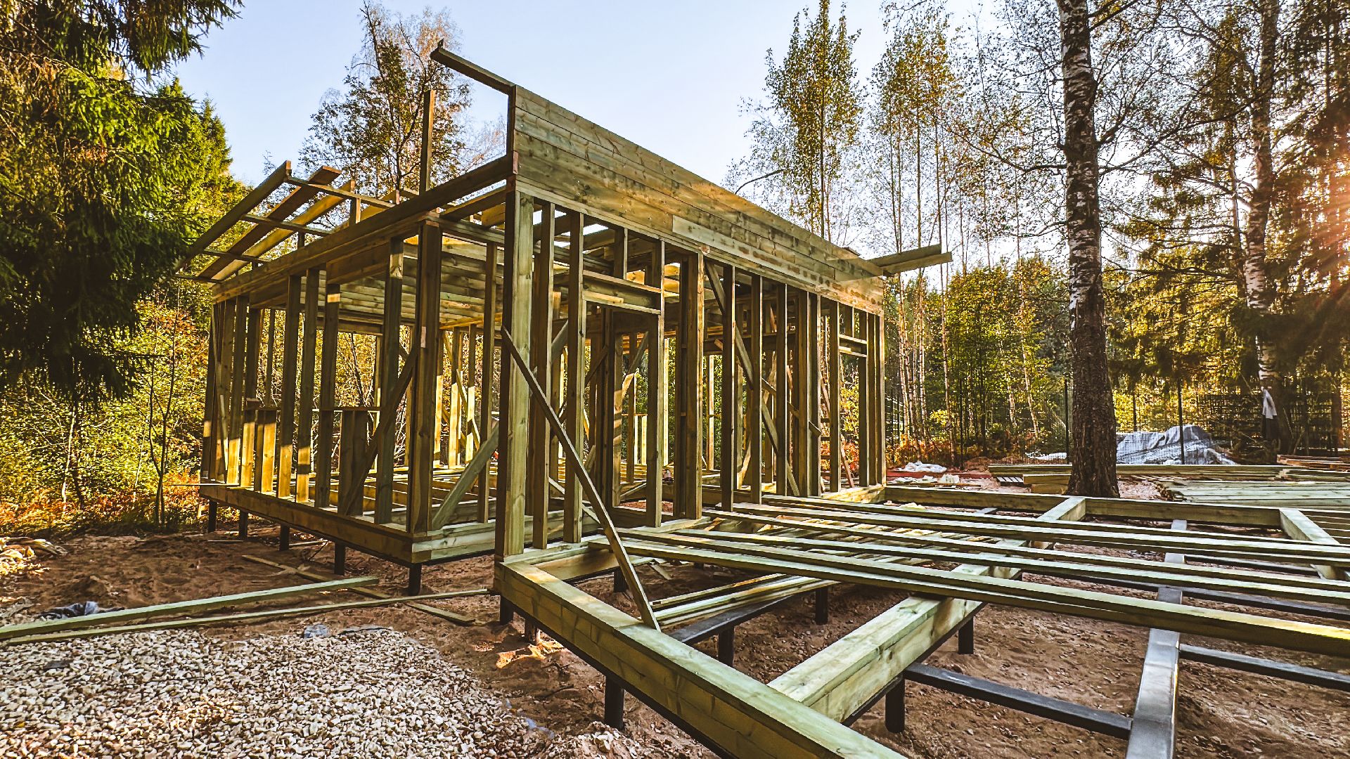 Клин, общество, Подмосковье, благоустройство, лесопарк,