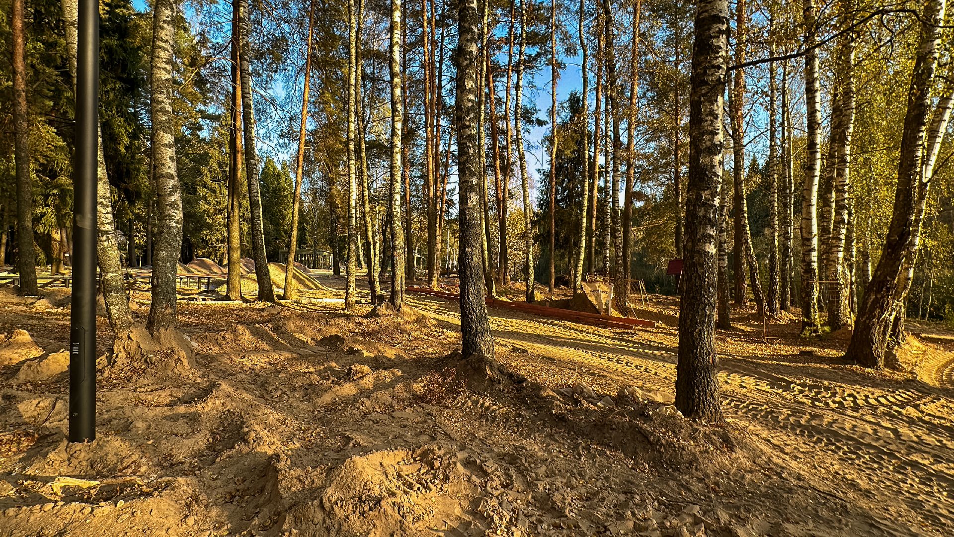 Клин, общество, Подмосковье, благоустройство, лесопарк,