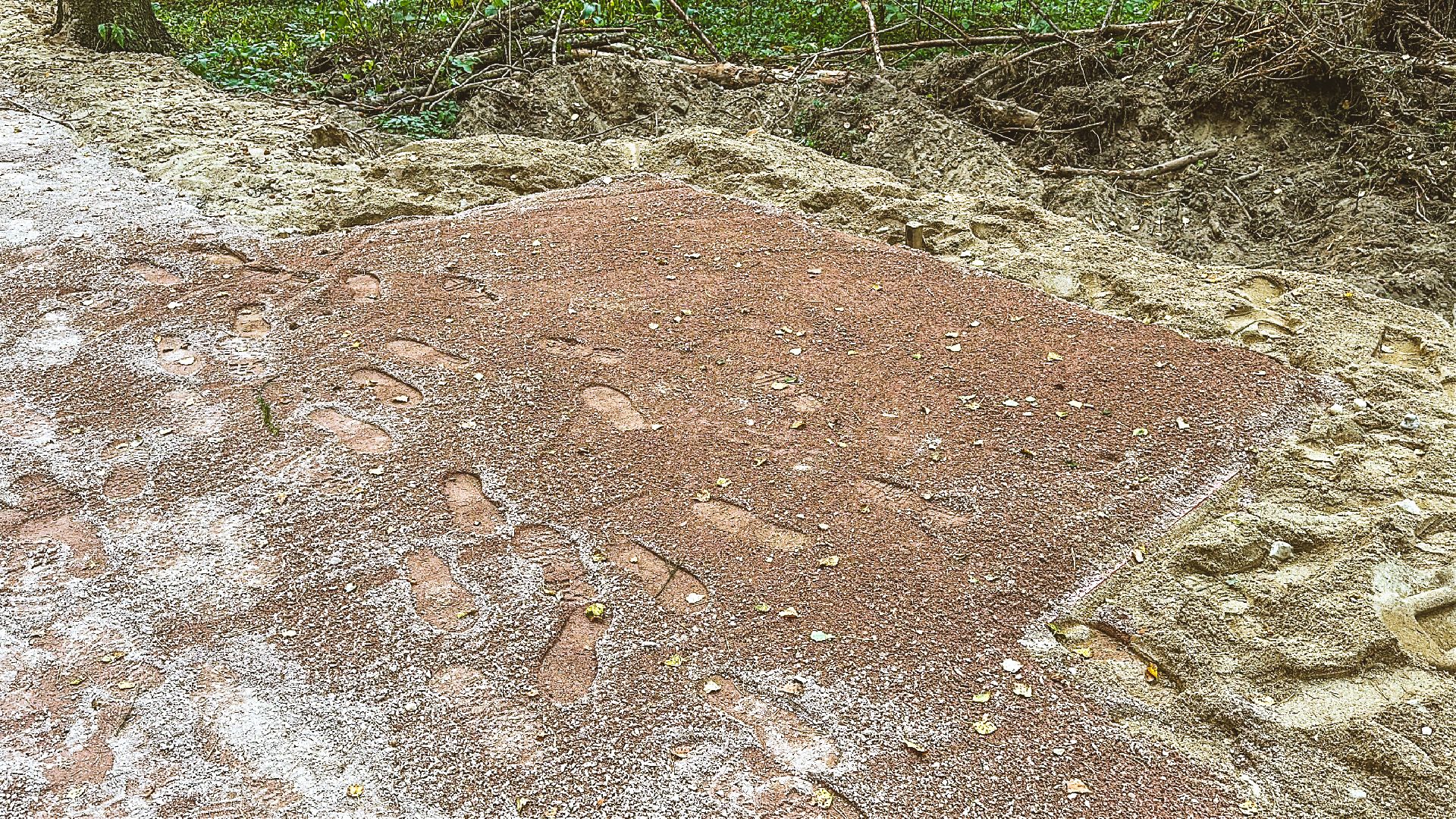 Клин, общество, Подмосковье, благоустройство, лесопарк,