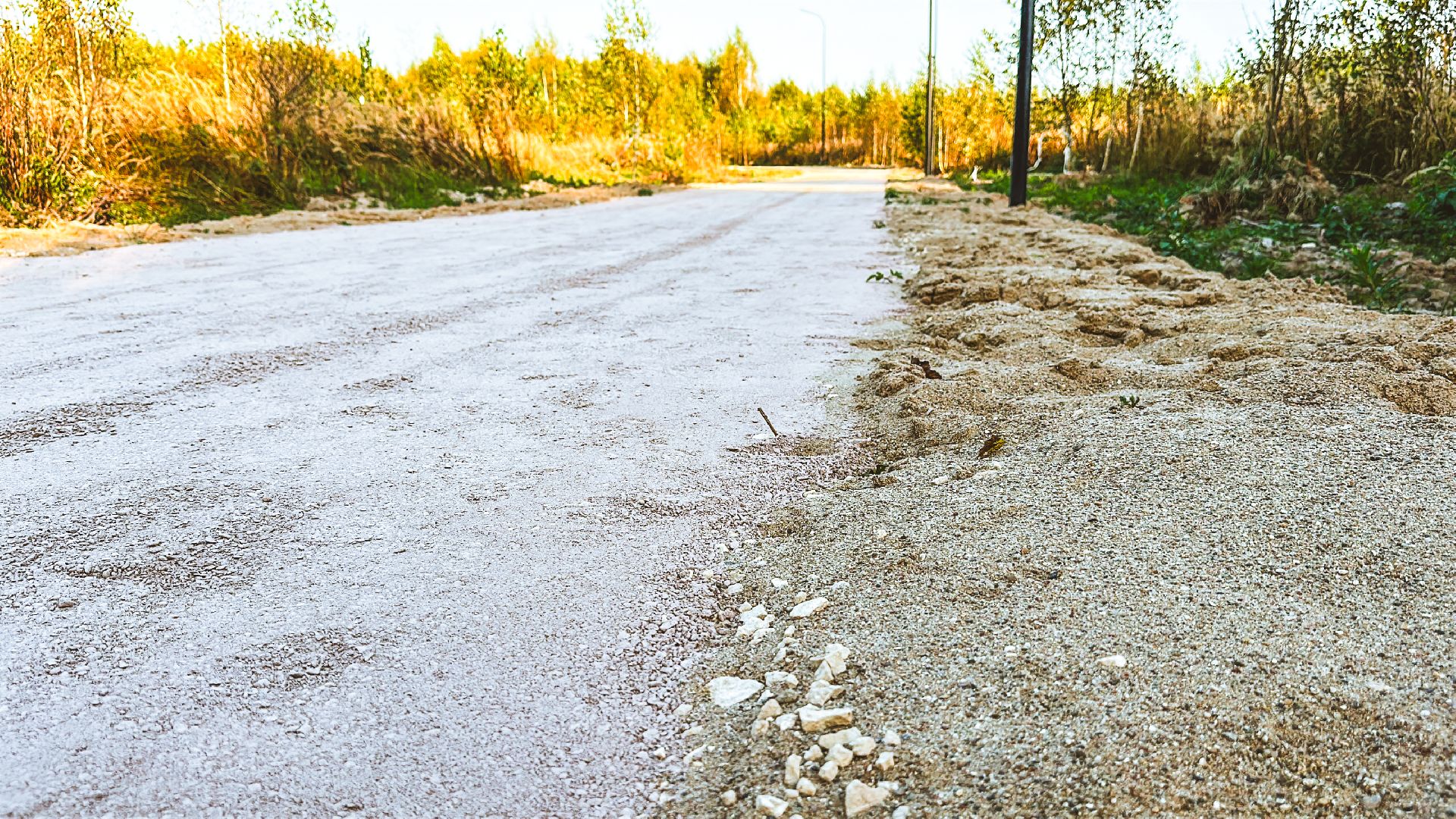 Клин, общество, Подмосковье, благоустройство, лесопарк,