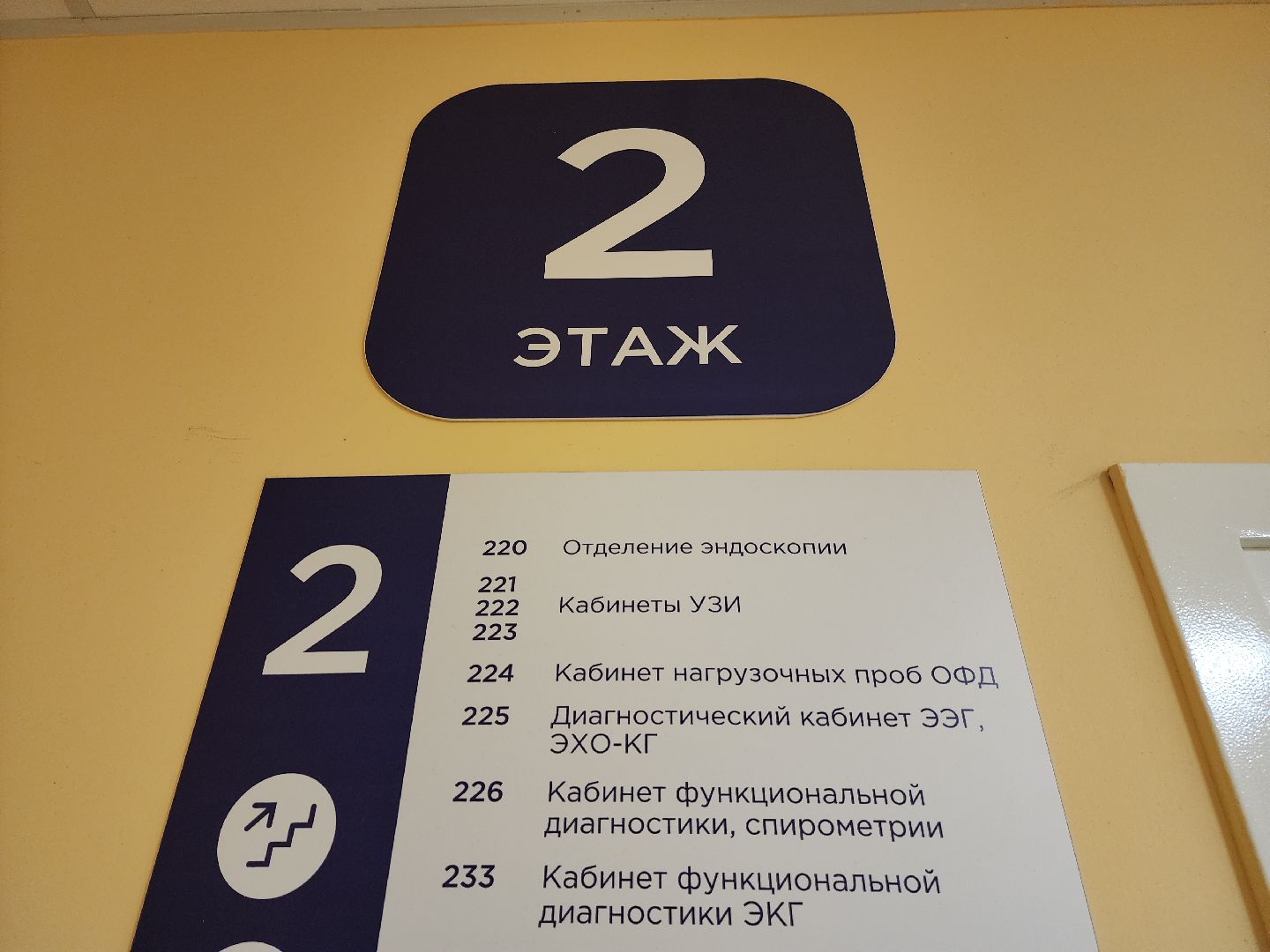 красногорск, медицина, узи, поликлиника,