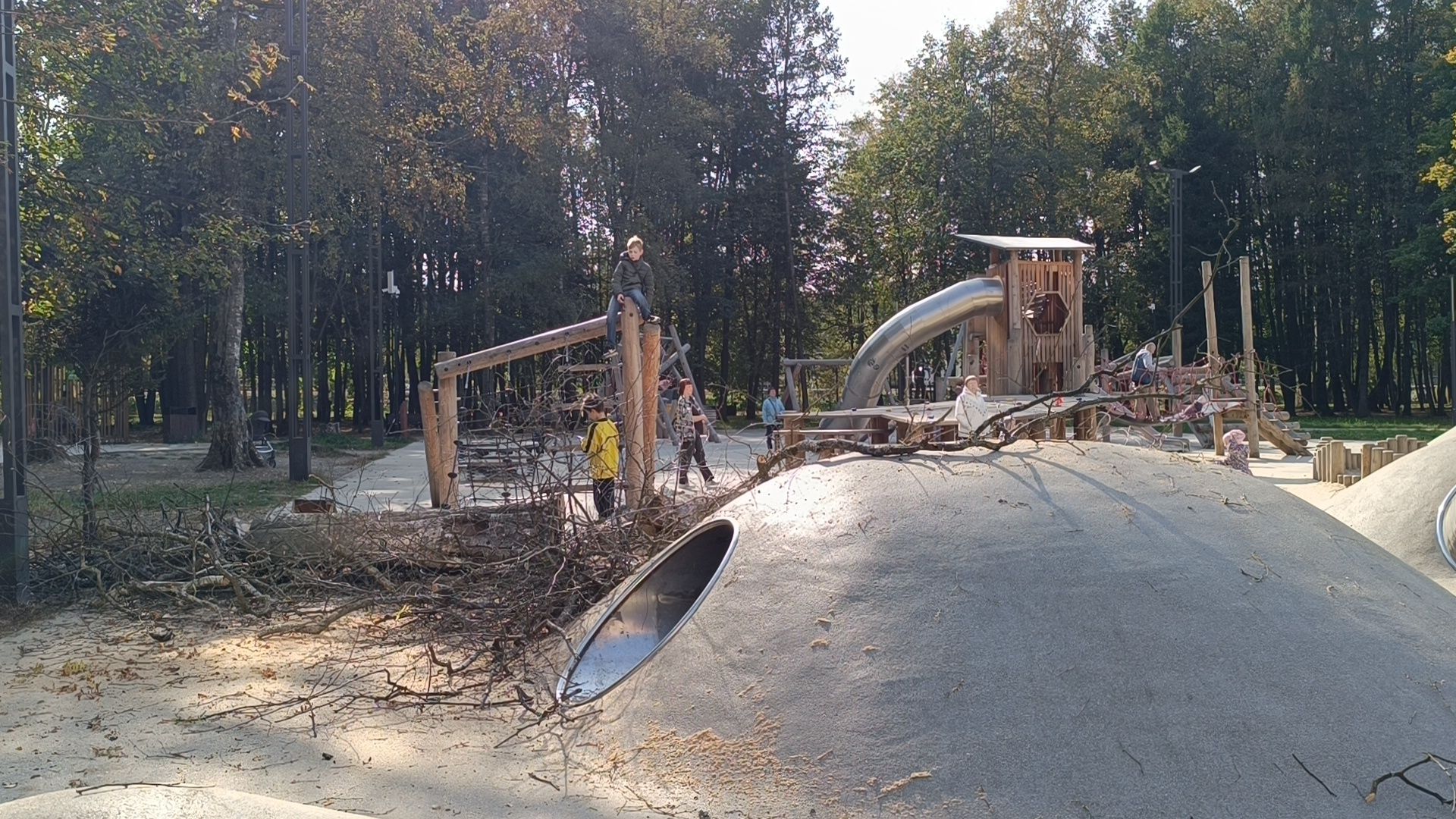 аварийные деревья, парк, лобня,