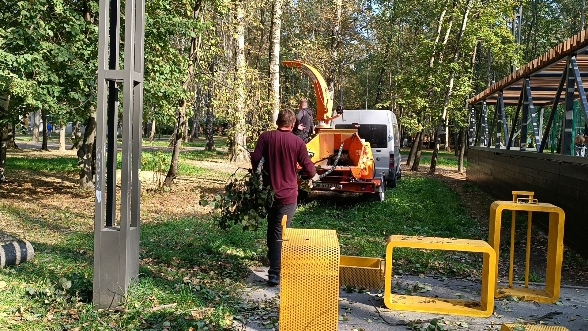 аварийные деревья, парк, лобня,