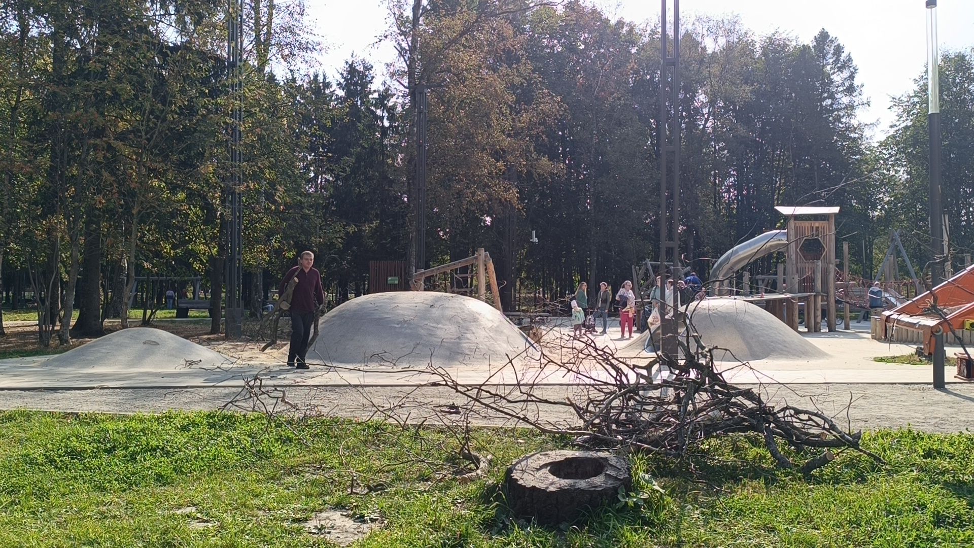 аварийные деревья, парк, лобня,