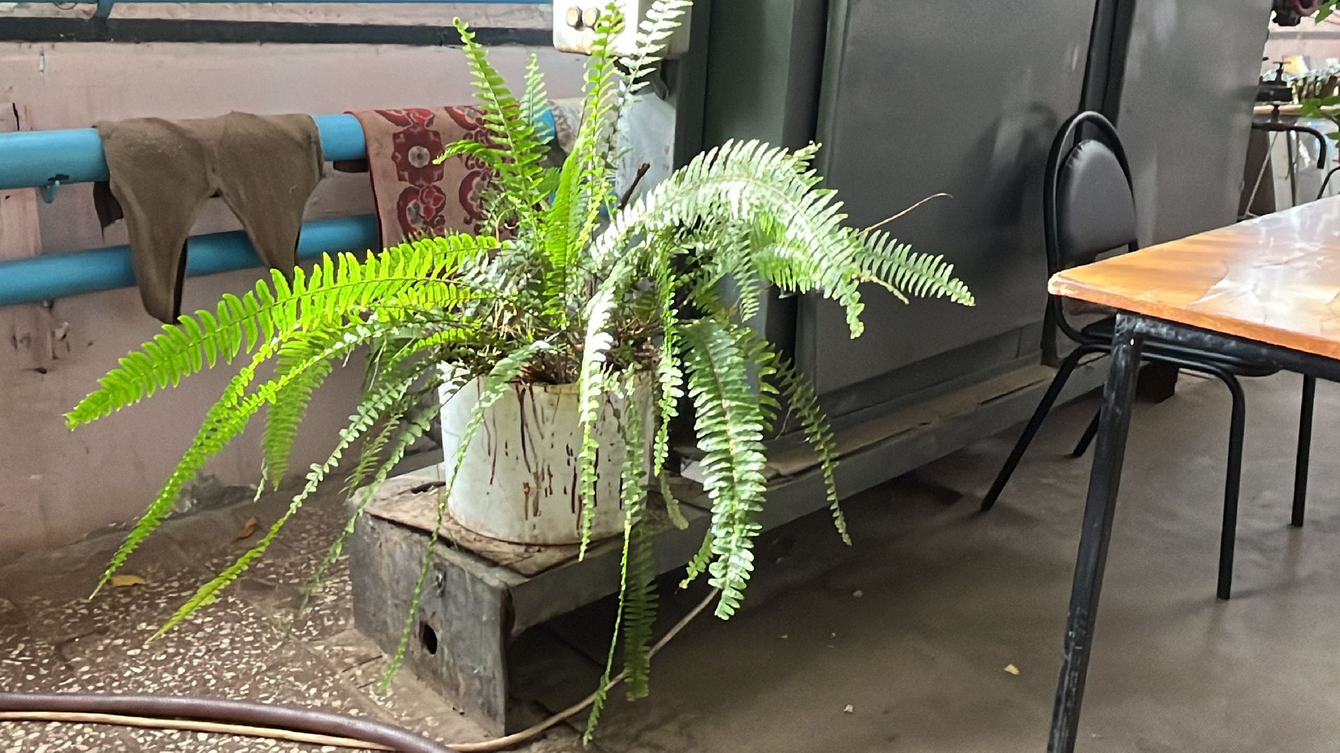 волоколамск, котельная, пробная топка, отопительный сезон,