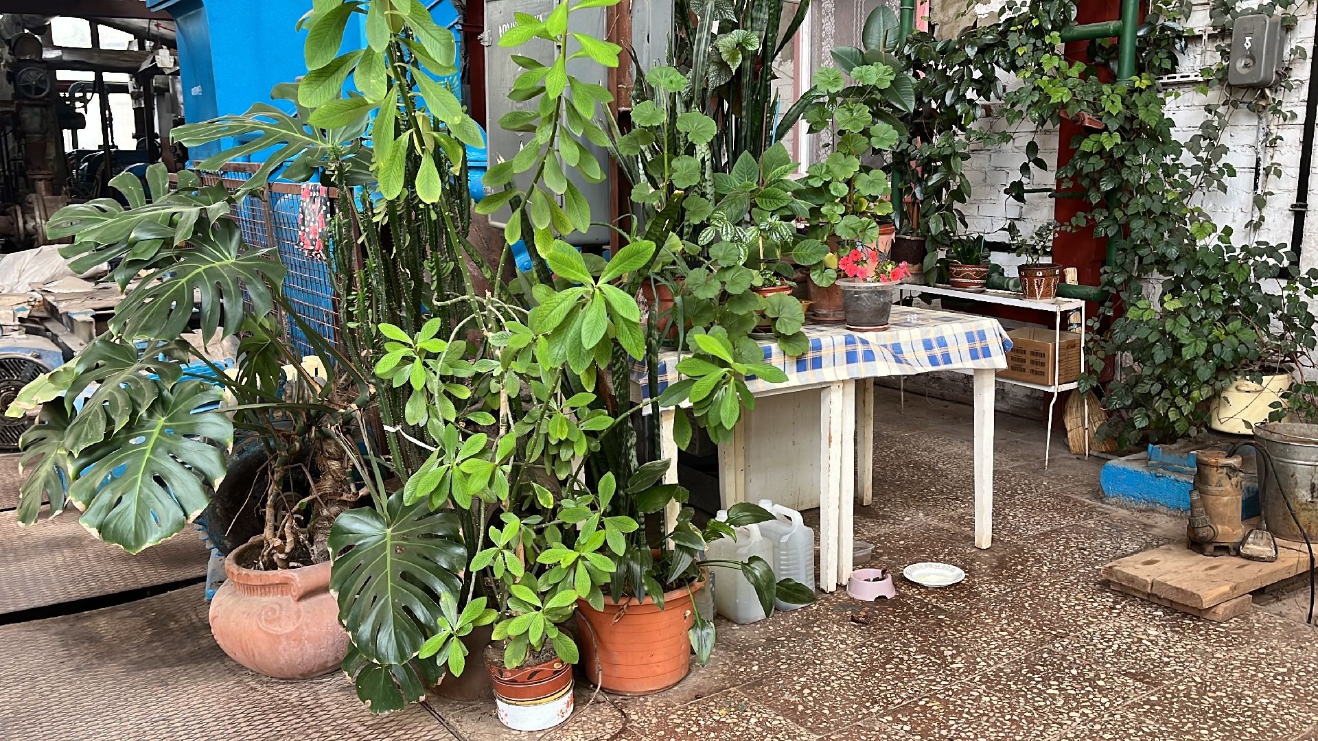 волоколамск, котельная, пробная топка, отопительный сезон,