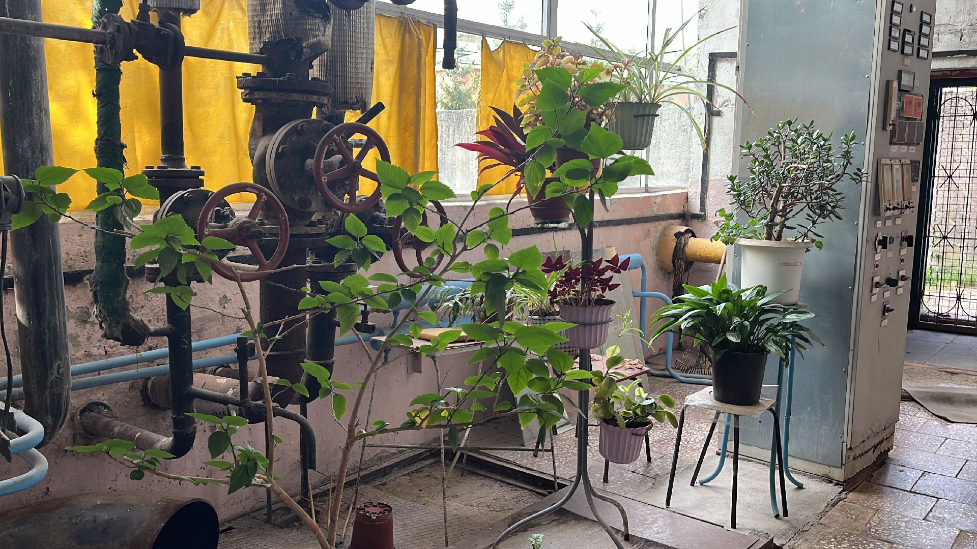 волоколамск, котельная, пробная топка, отопительный сезон,