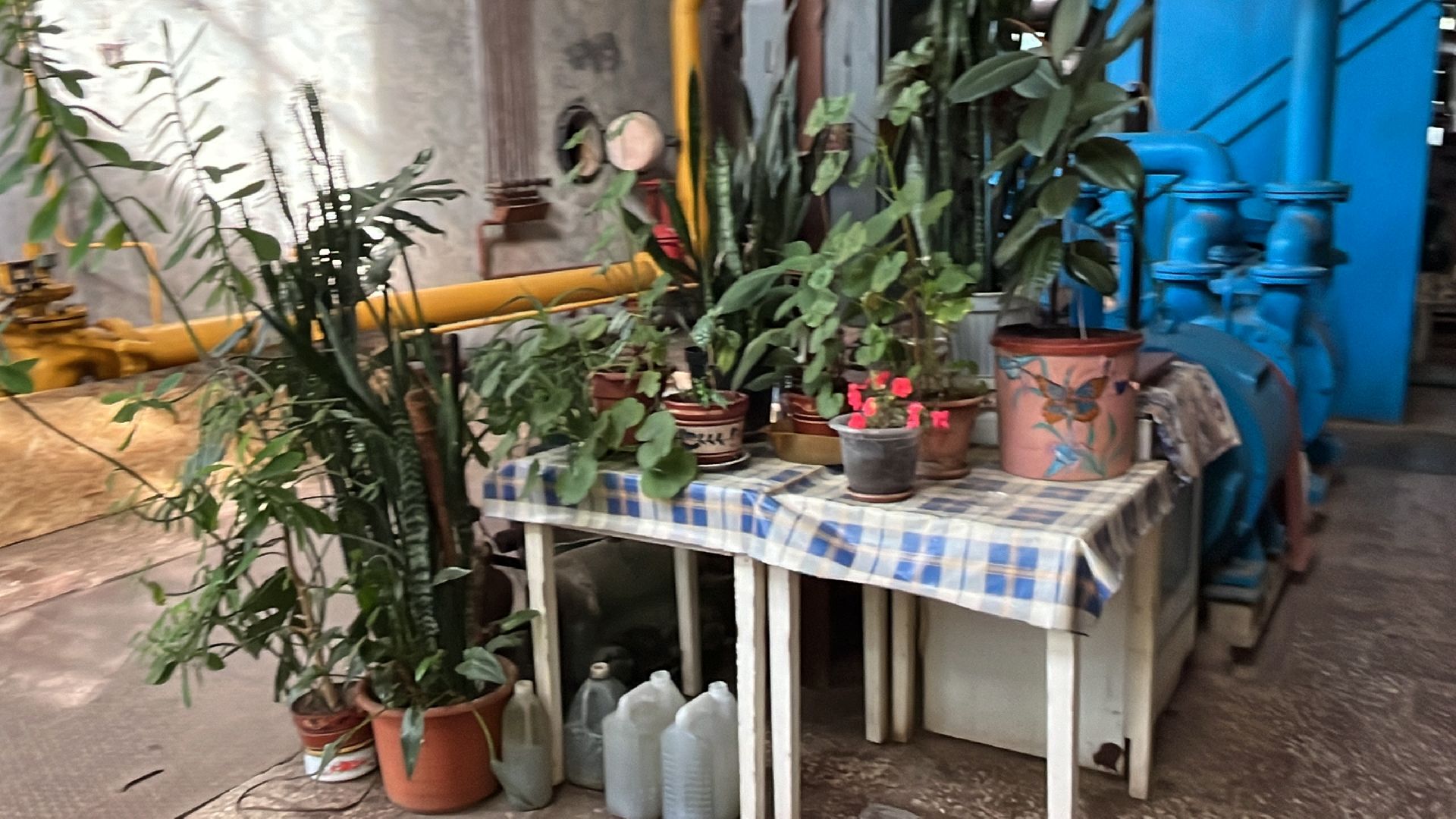 волоколамск, котельная, пробная топка, отопительный сезон,