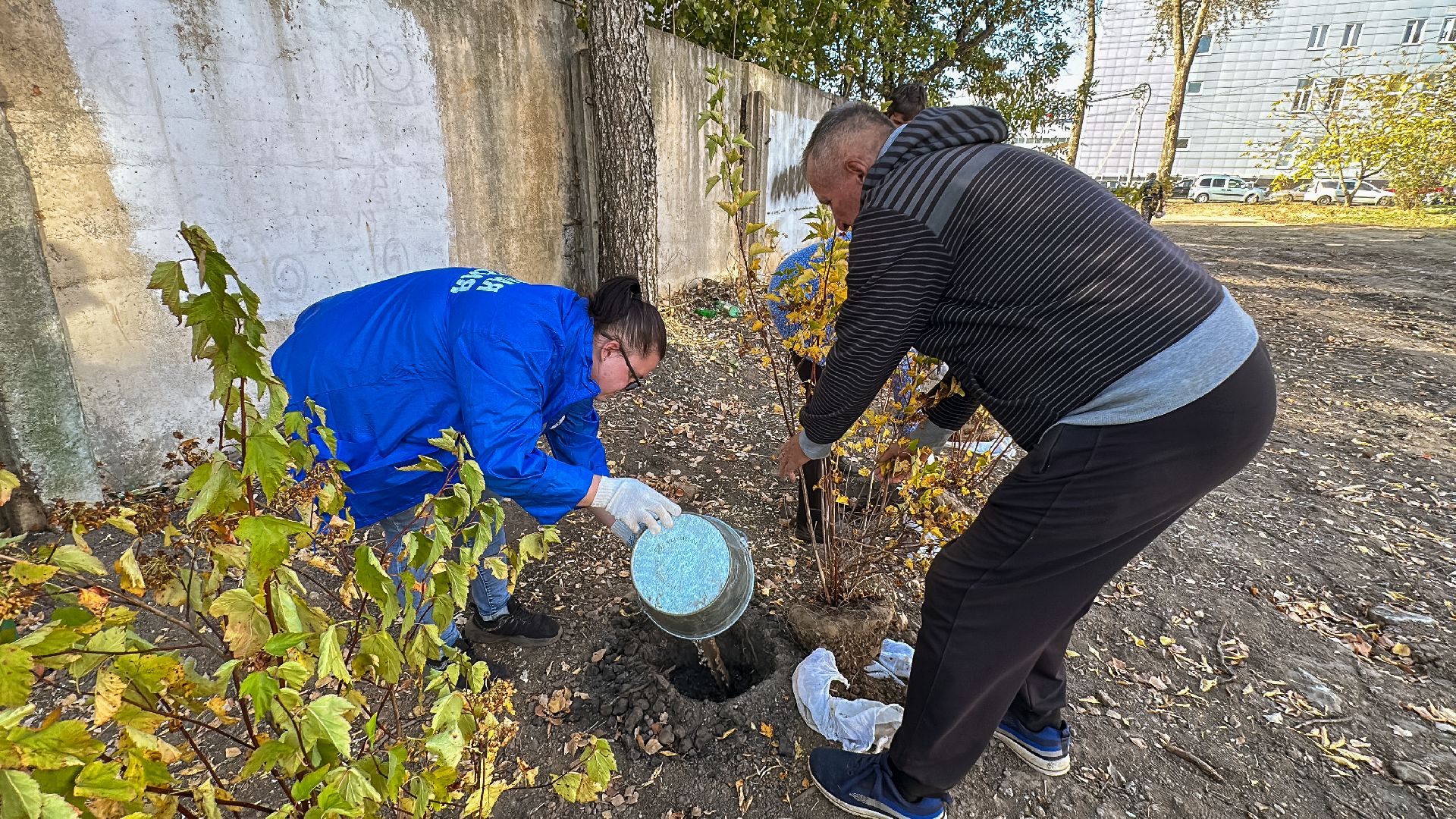 Клин, общество, благоустройство, экология,