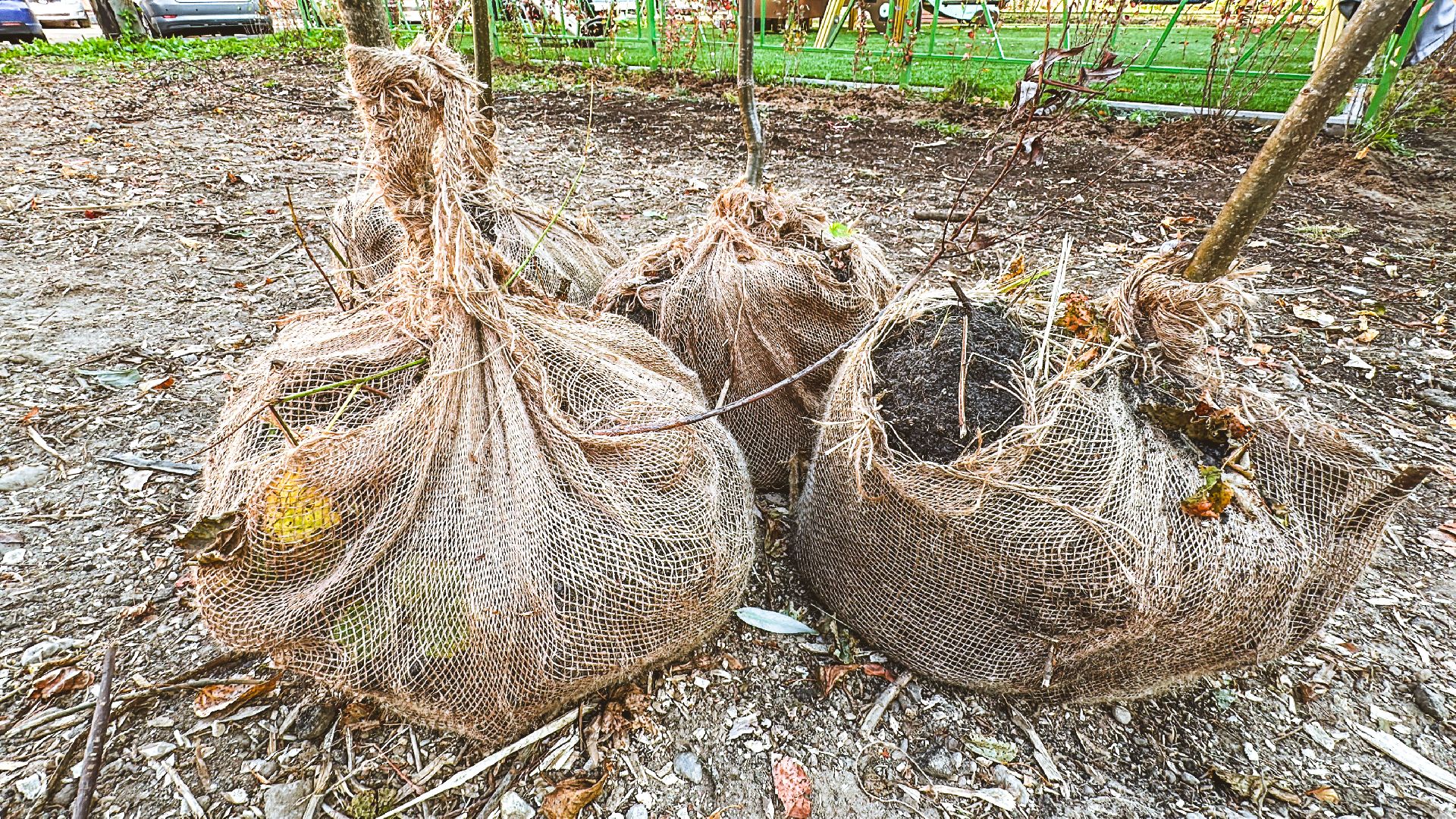 Клин, общество, благоустройство, экология,