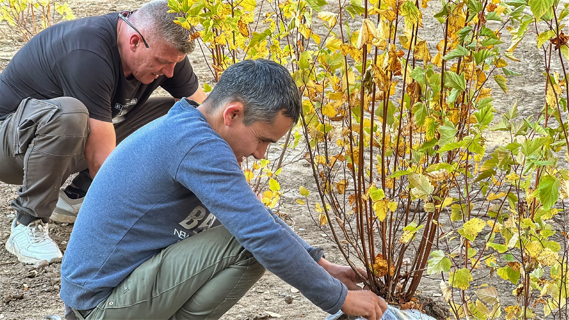 Клин, общество, благоустройство, экология,