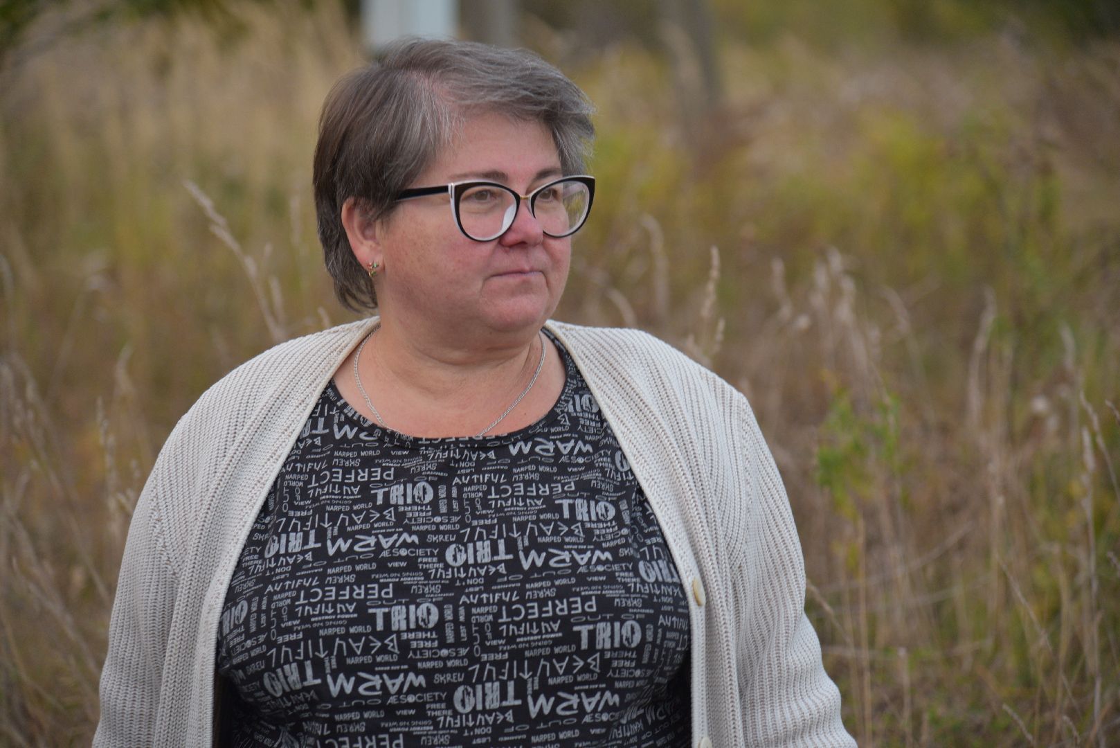 лотошино, коноплево, выездная администрация, благоустройство,